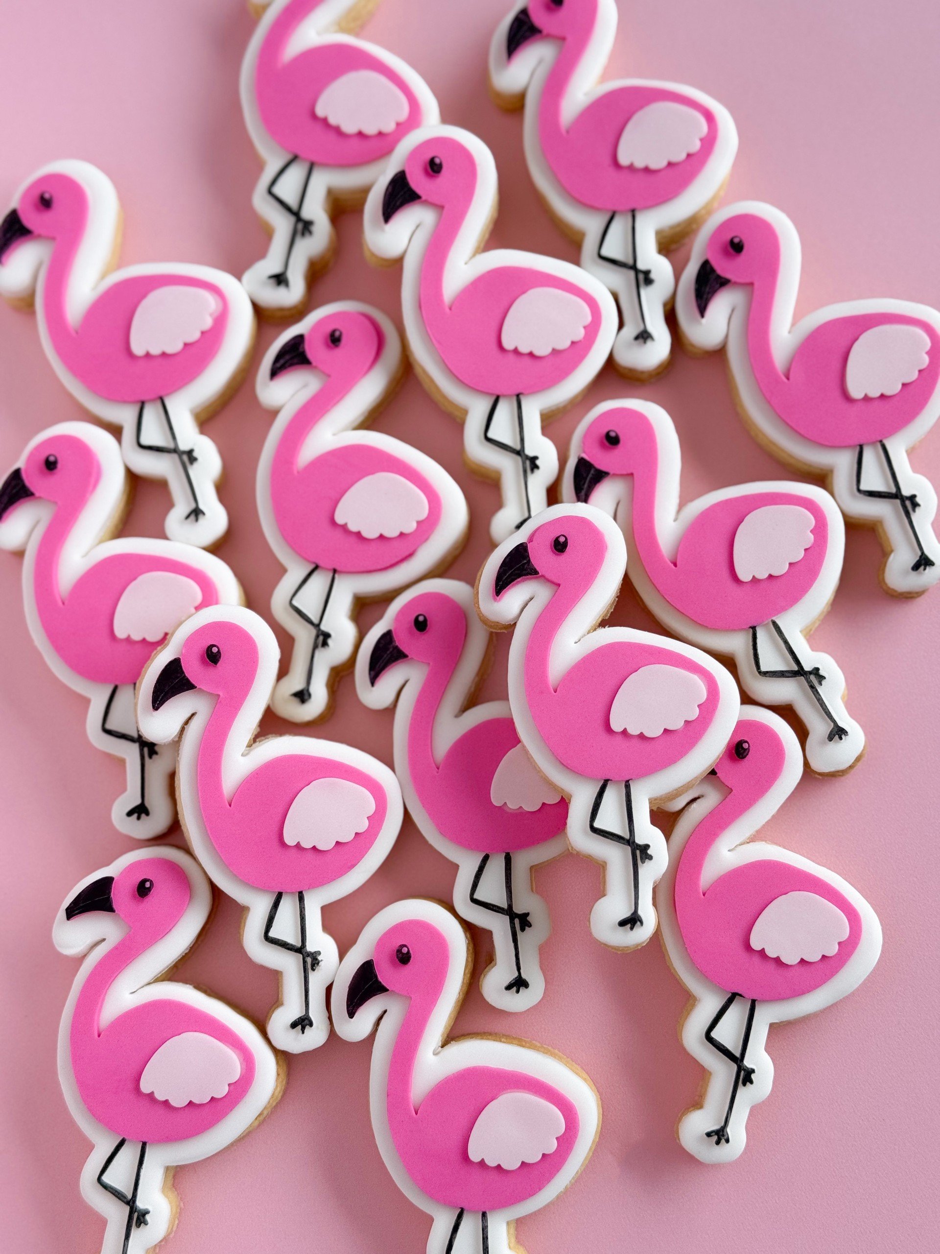 Flamingo.jpg