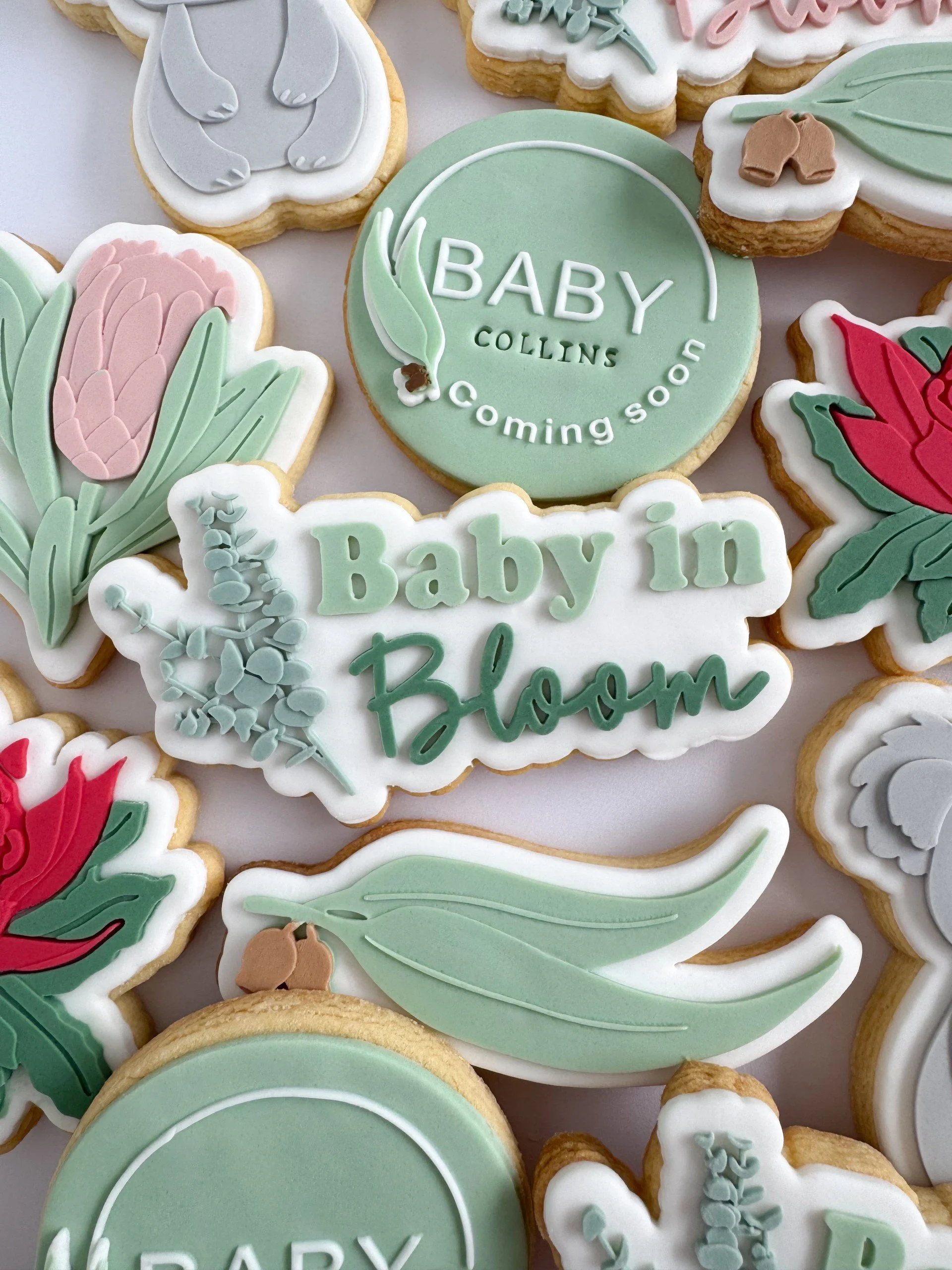 Australian Baby in Bloom.jpg