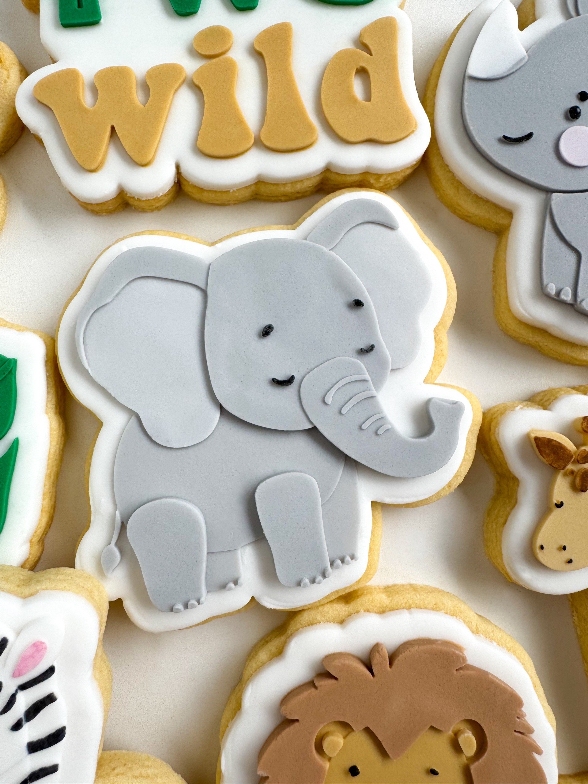 Elephant.jpg