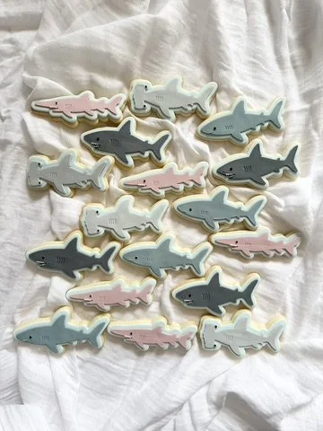 Shark Set.jpg (Copy) (Copy) (Copy)