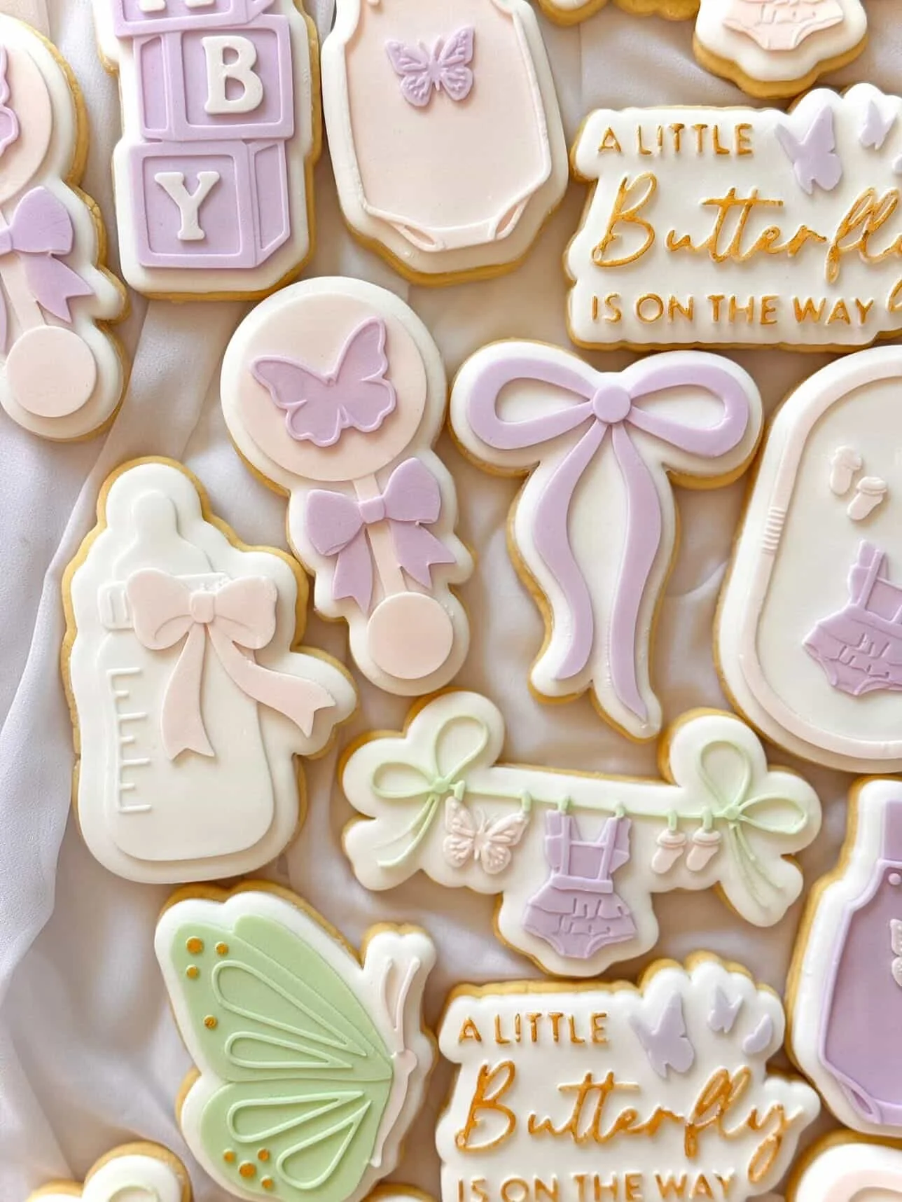 A Little Butterfly is on the Way Set.jpg