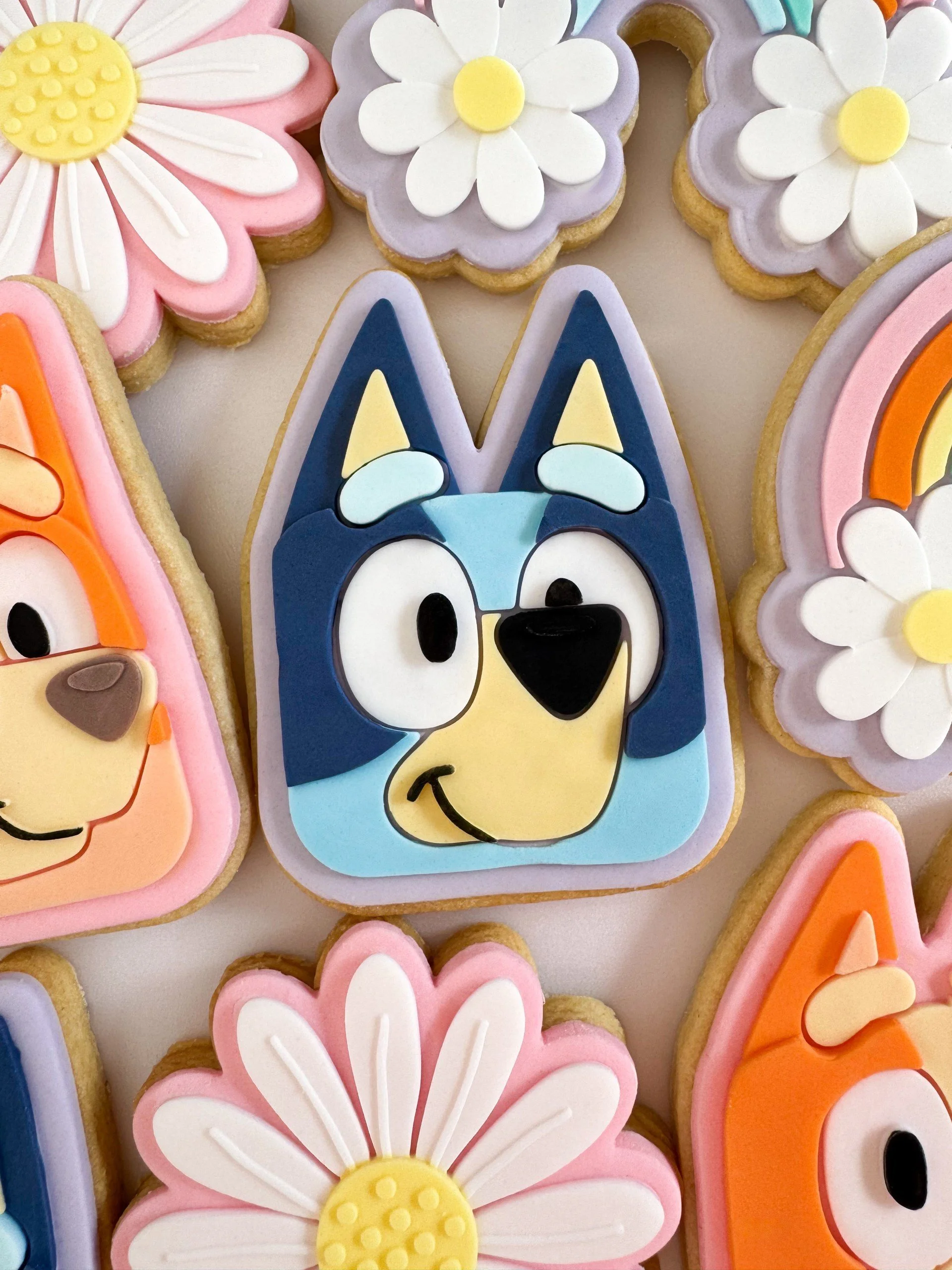 Bluey Face Cookie Stamp & Cutter