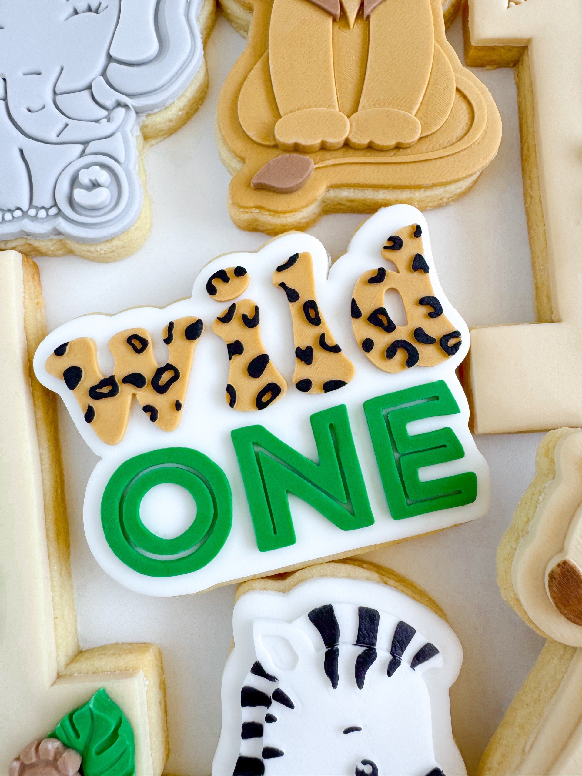 Wild One with Leopard Print 2.jpg