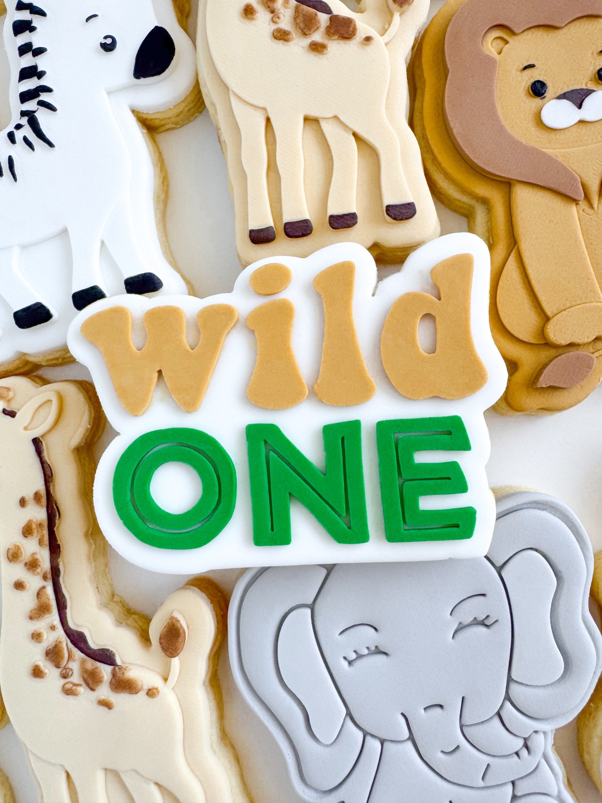 Wild One 2.jpg
