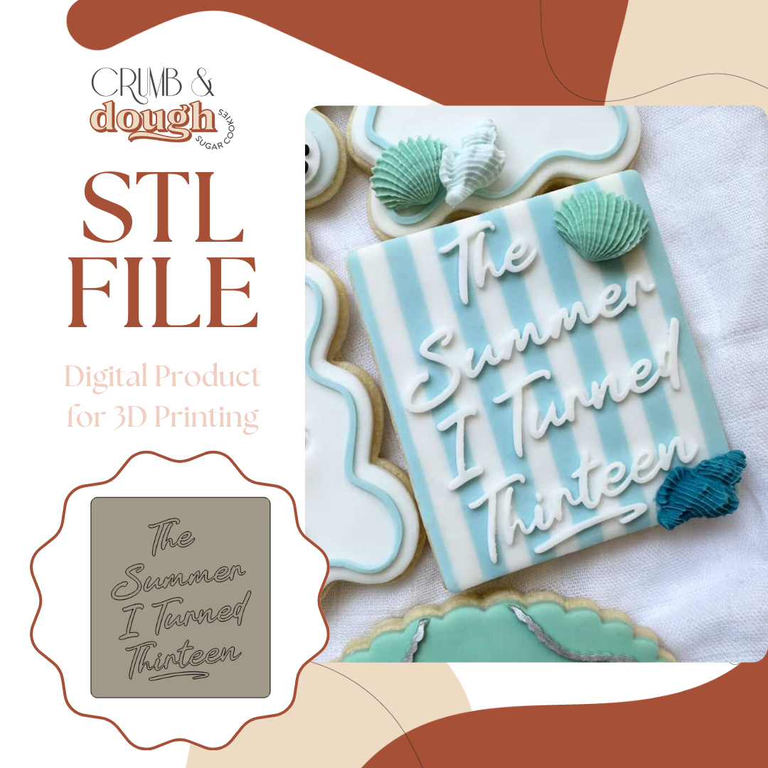 The Summer I Turned Thirteen.png