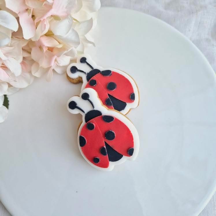 Ladybug.jpg