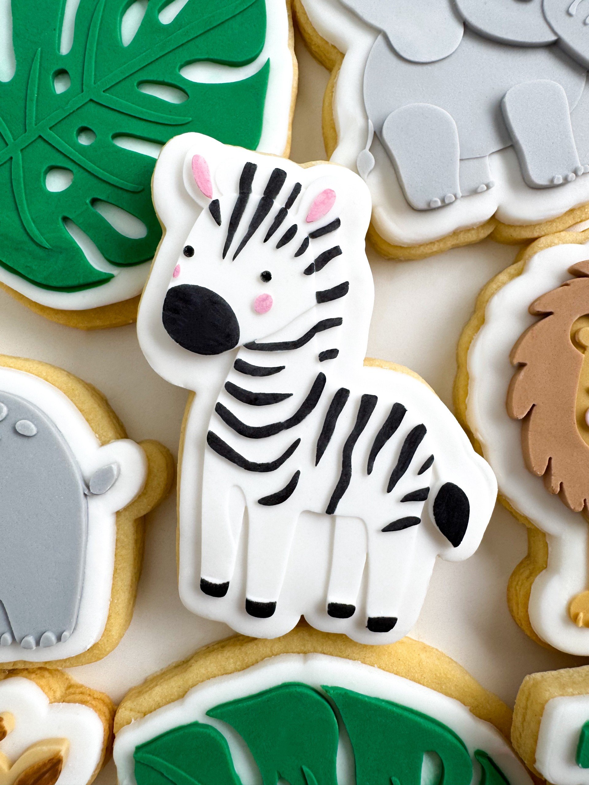 Zebra.jpg
