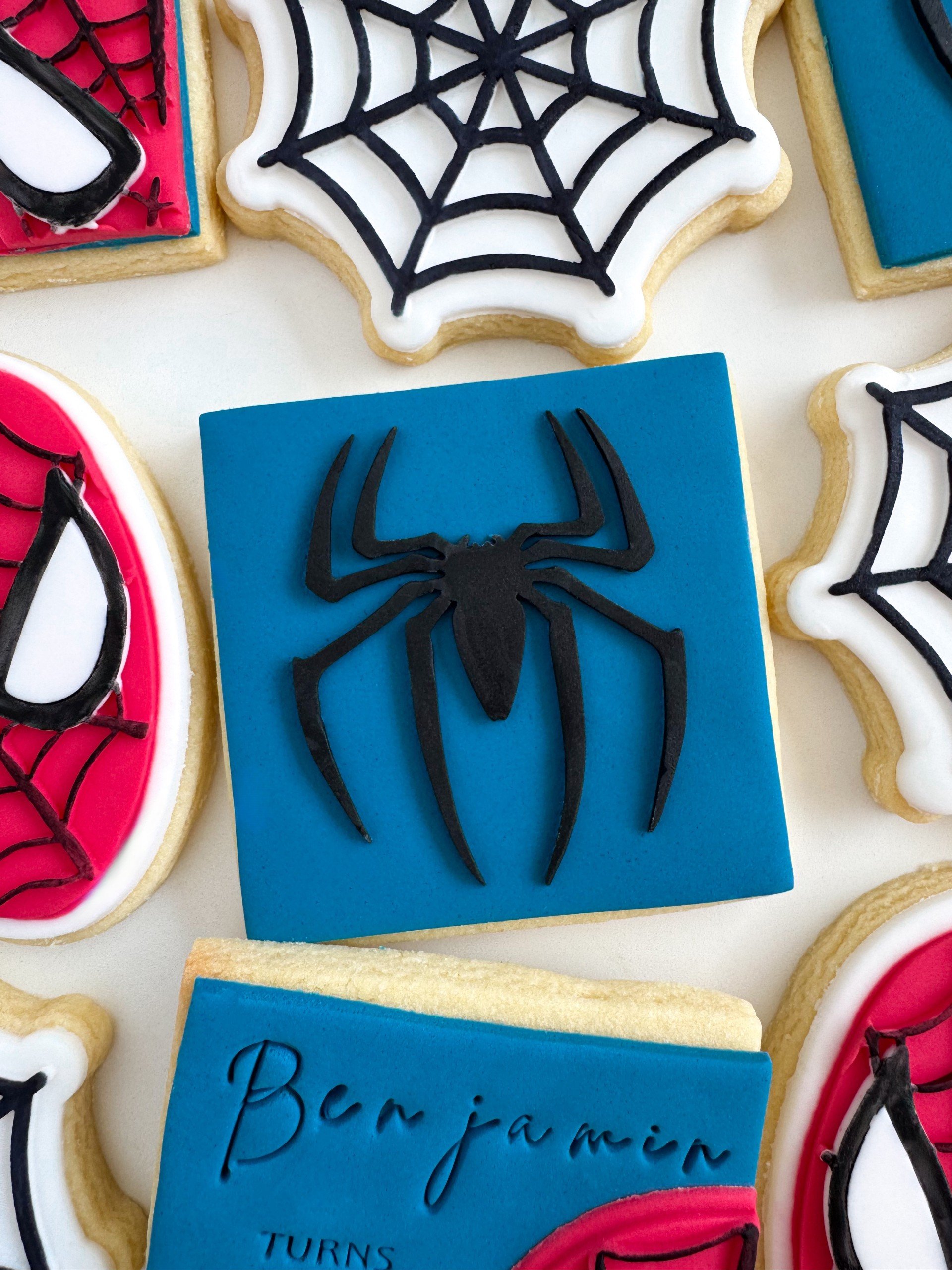 Spider Silhouette.jpg