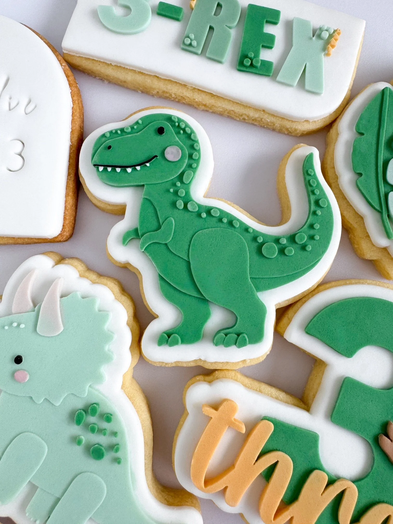 Dinosaur 5.jpg