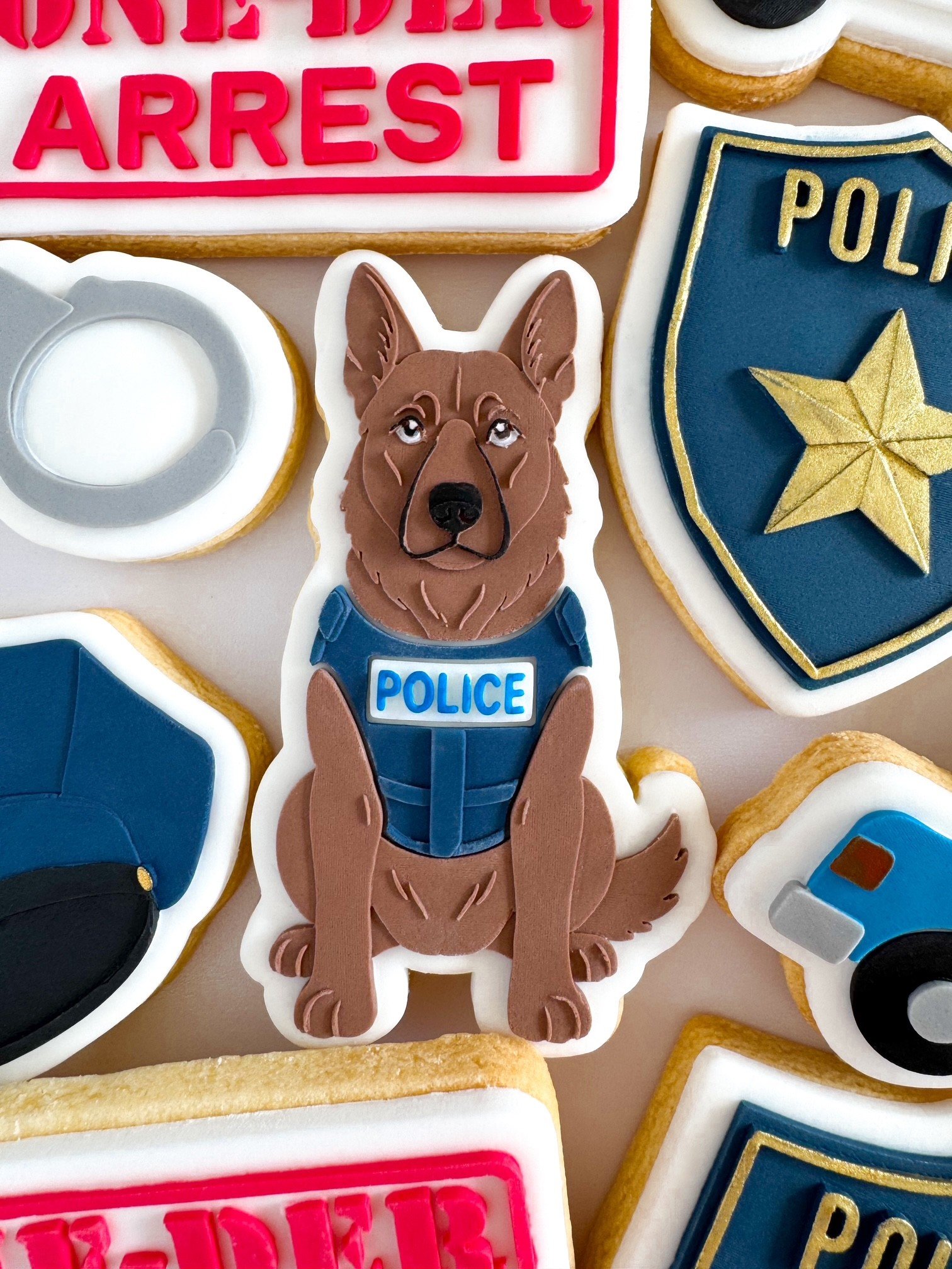 Police Dog K9.jpg