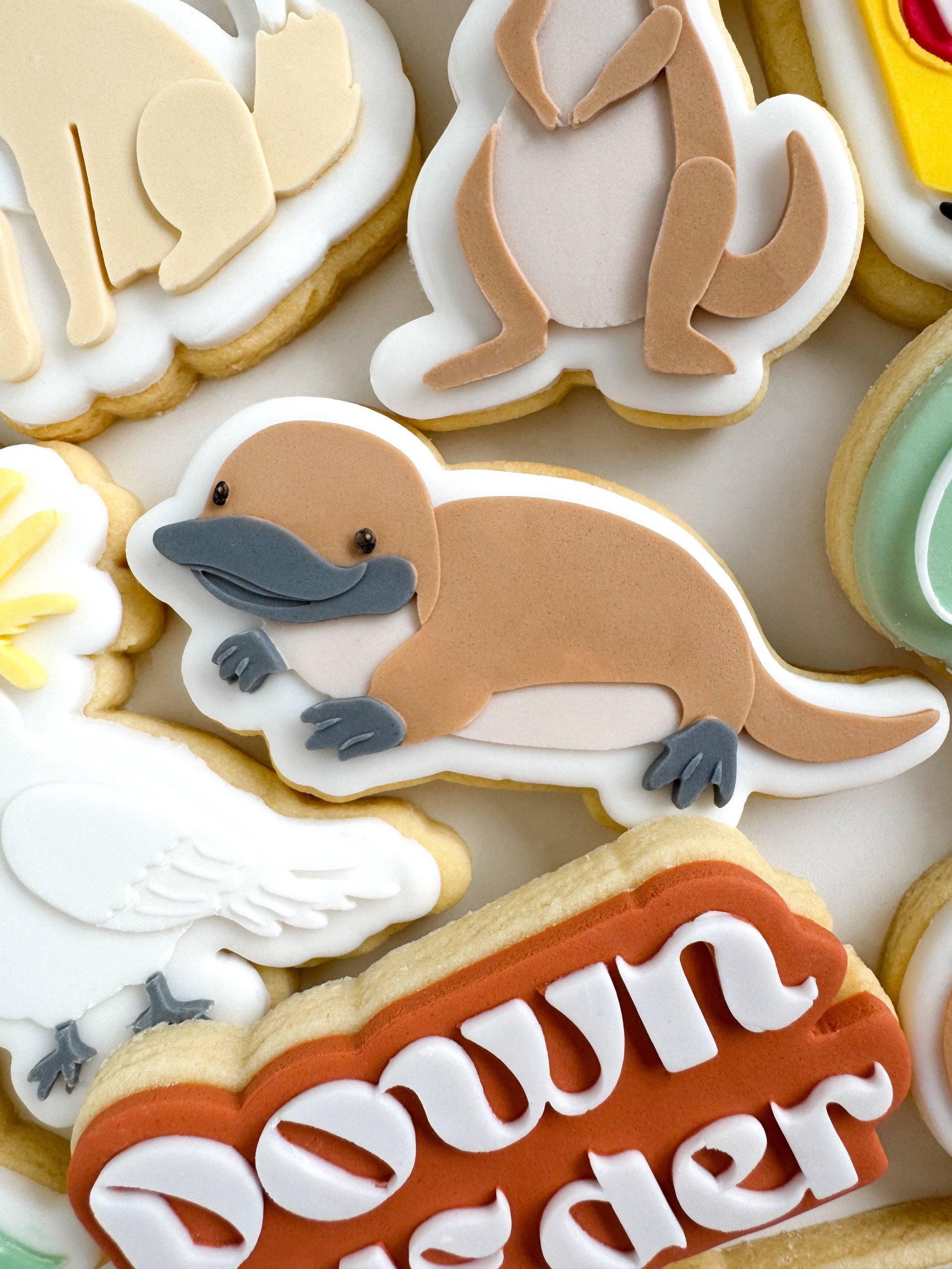 Platypus.jpg