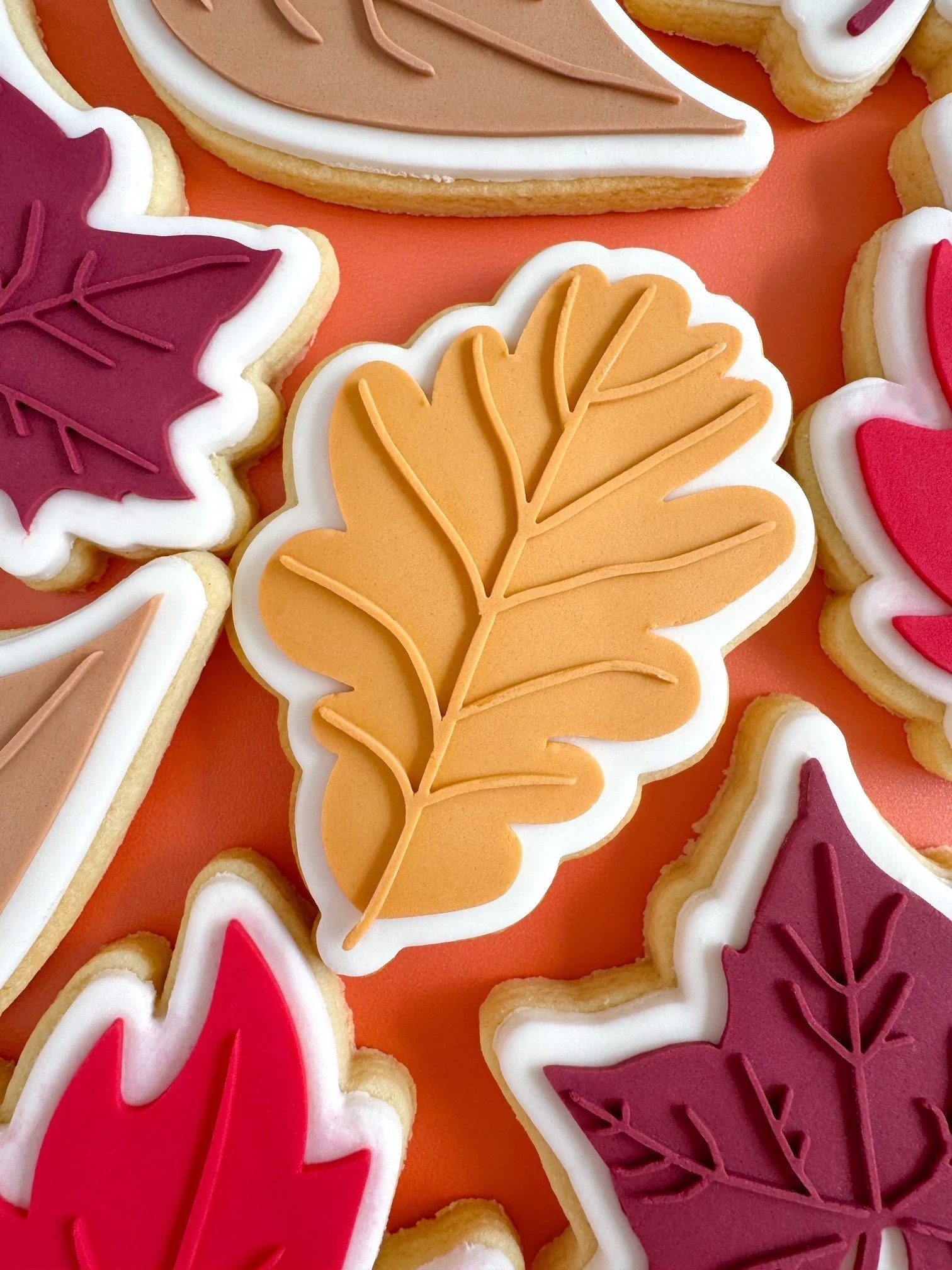 Autumn Leaf 3.jpg