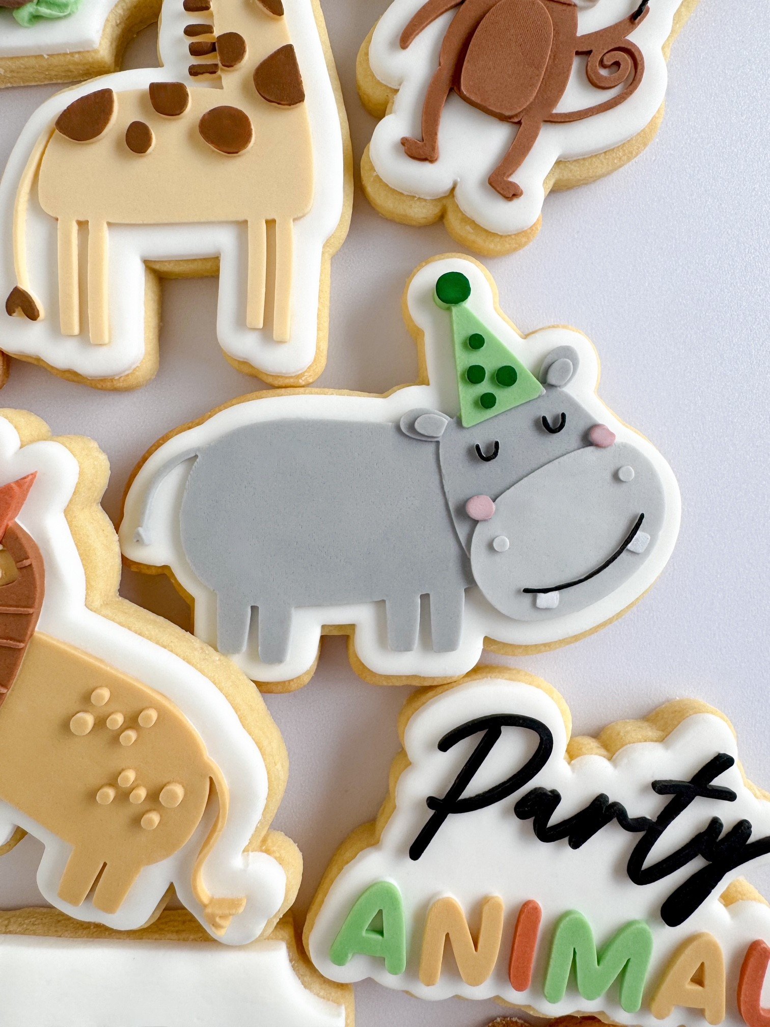 Party Hippo.jpg