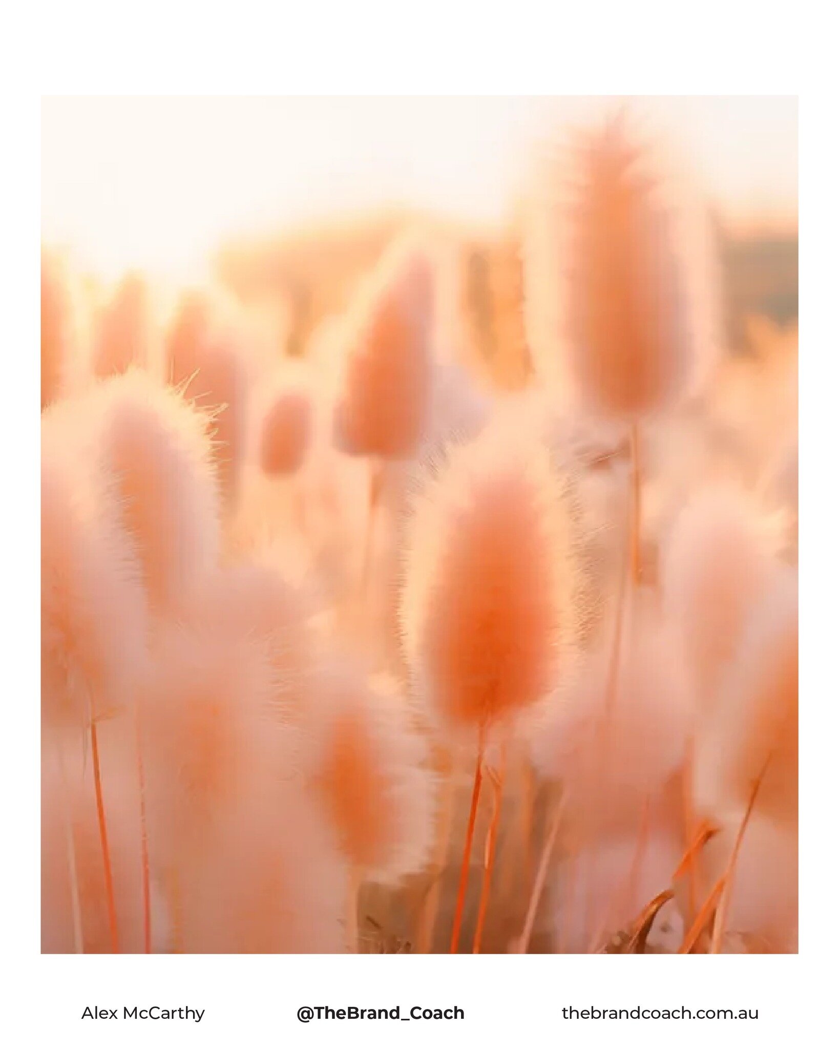 What's the meaning behind Pantone's Colour of the Year, Peach Fuzz? 🍑

&quot;Peach Fuzz is a velvety gentle peach whose all-embracing spirit enriches heart, mind, and body. It is a heartfelt peach hue bringing a feeling of kindness and tenderness, c