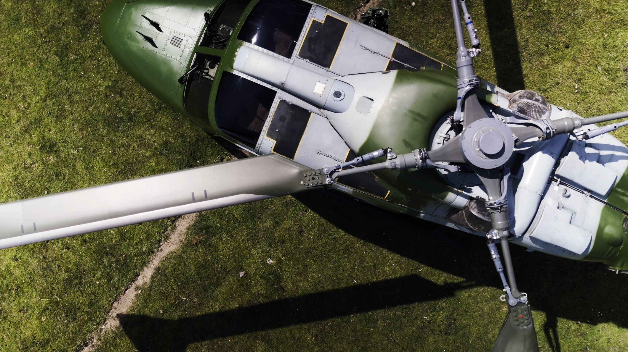 Hayward and Green - Cricket 10.png