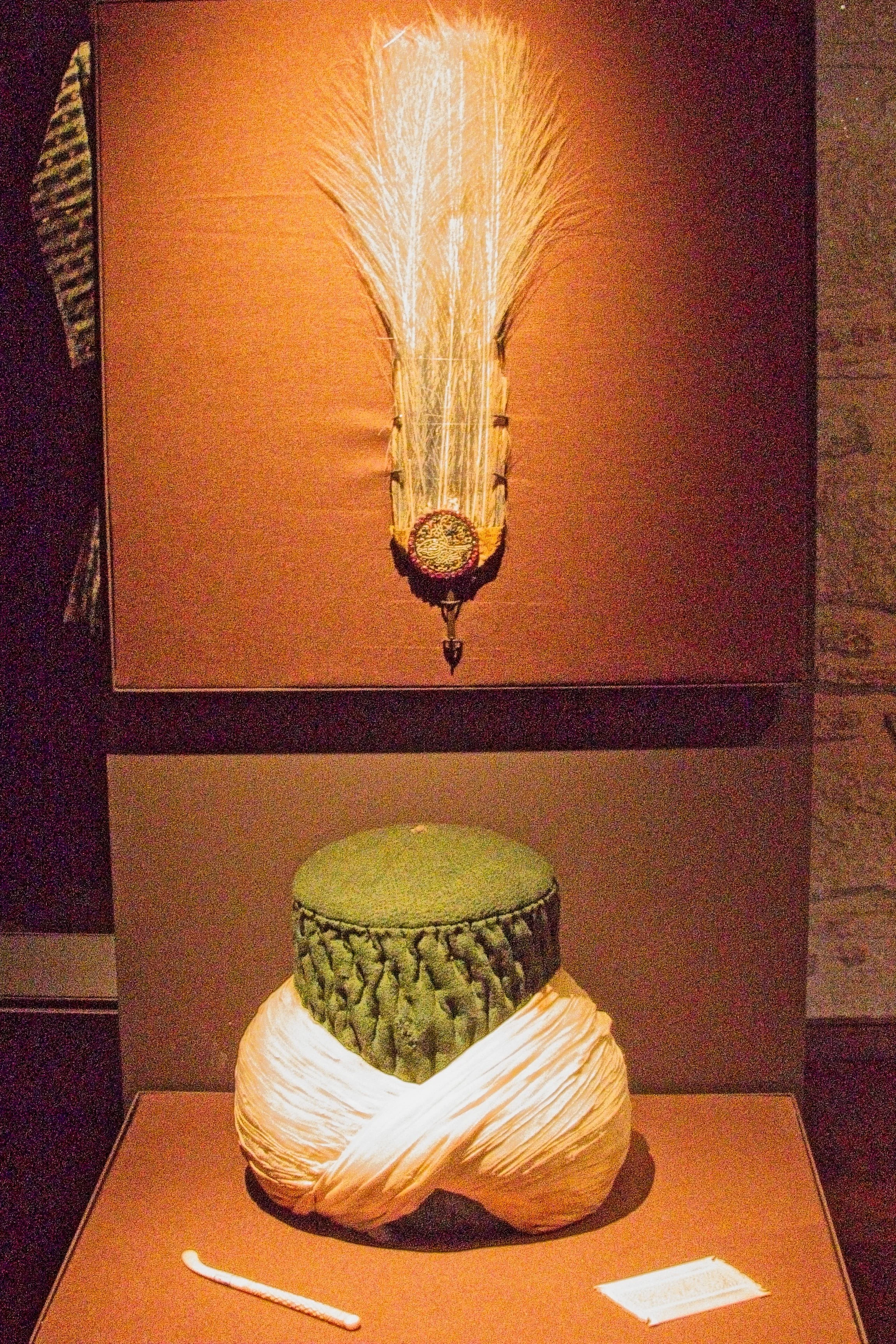 P1100739.jpg