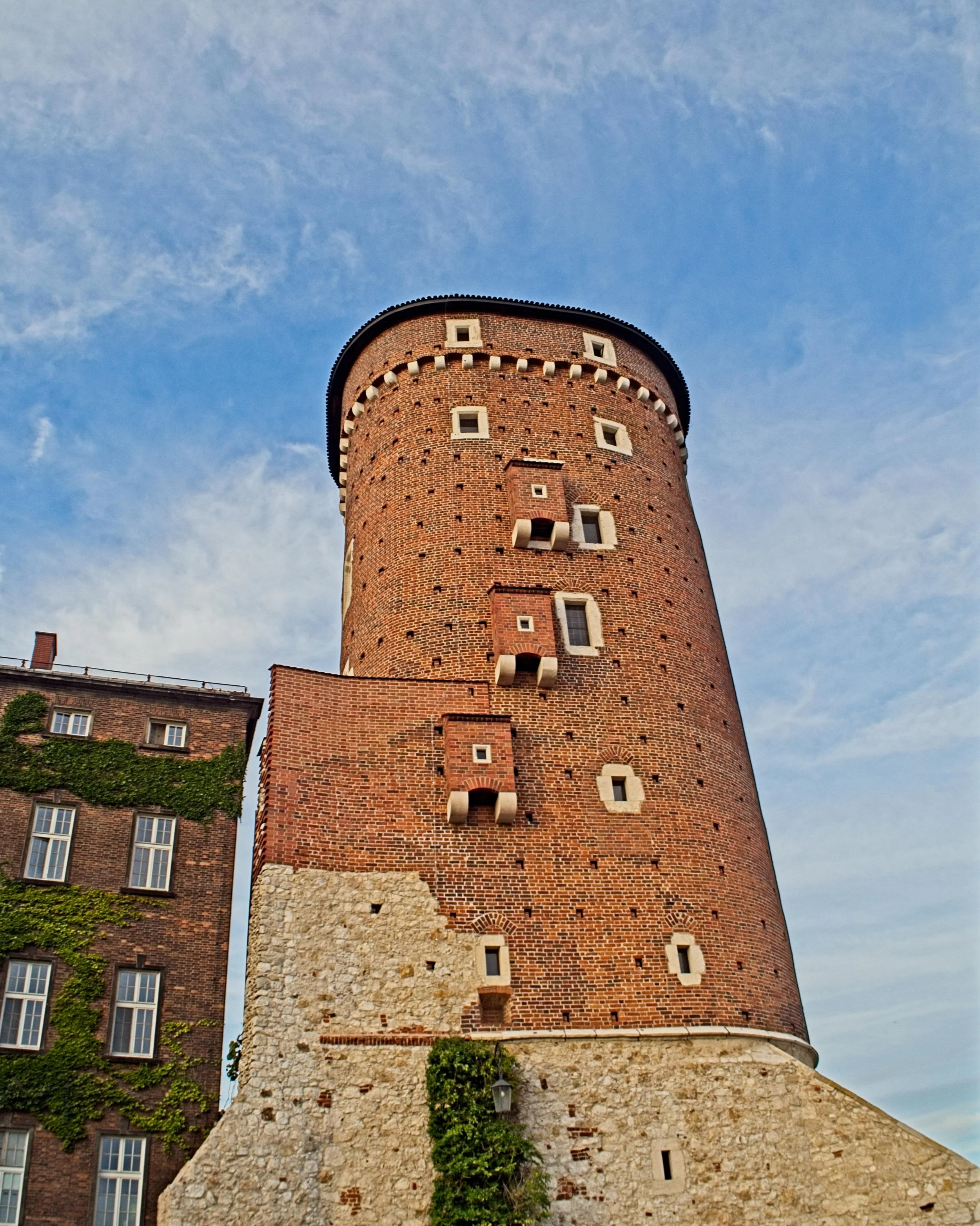 P9020182.jpg
