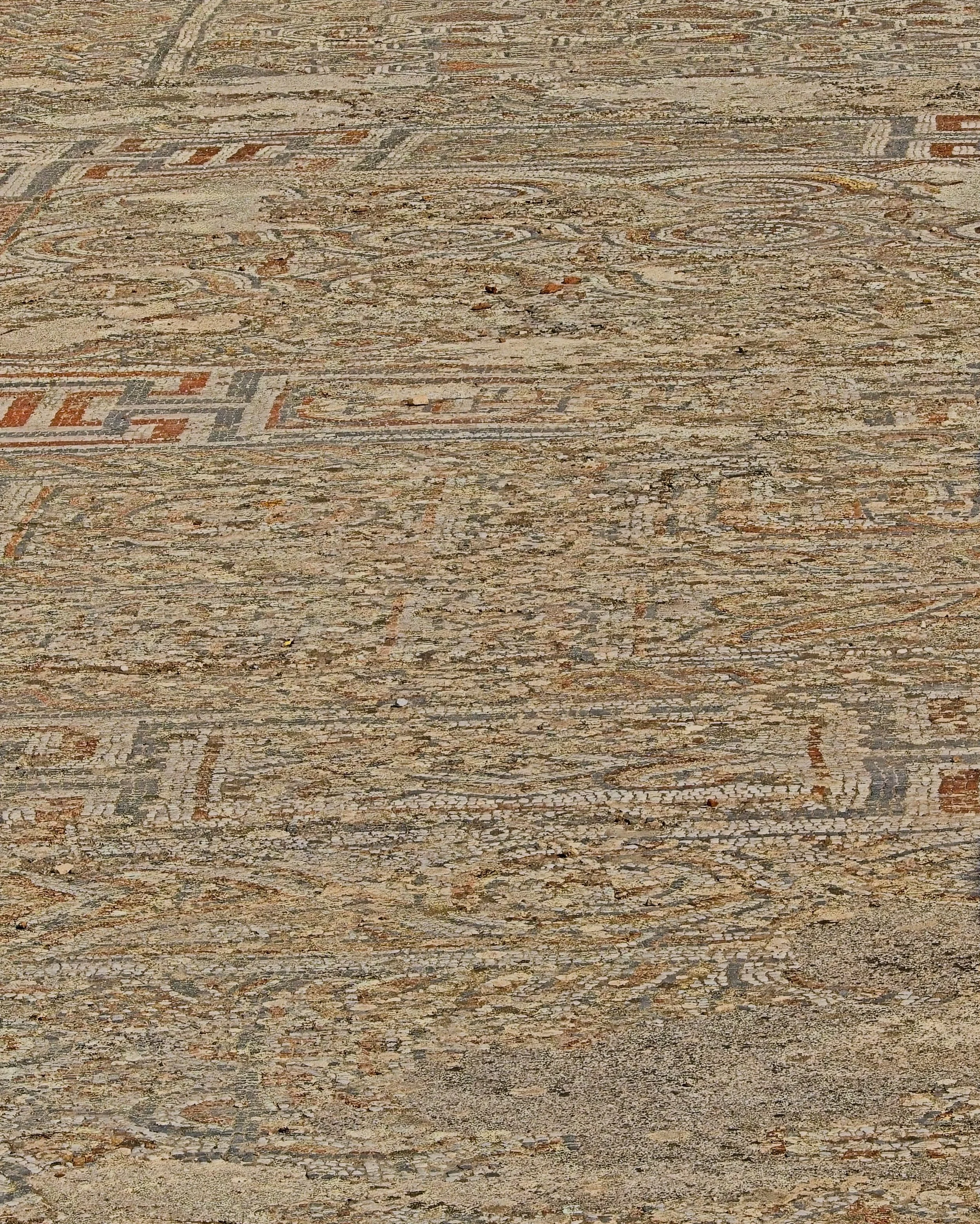P1110001.jpg