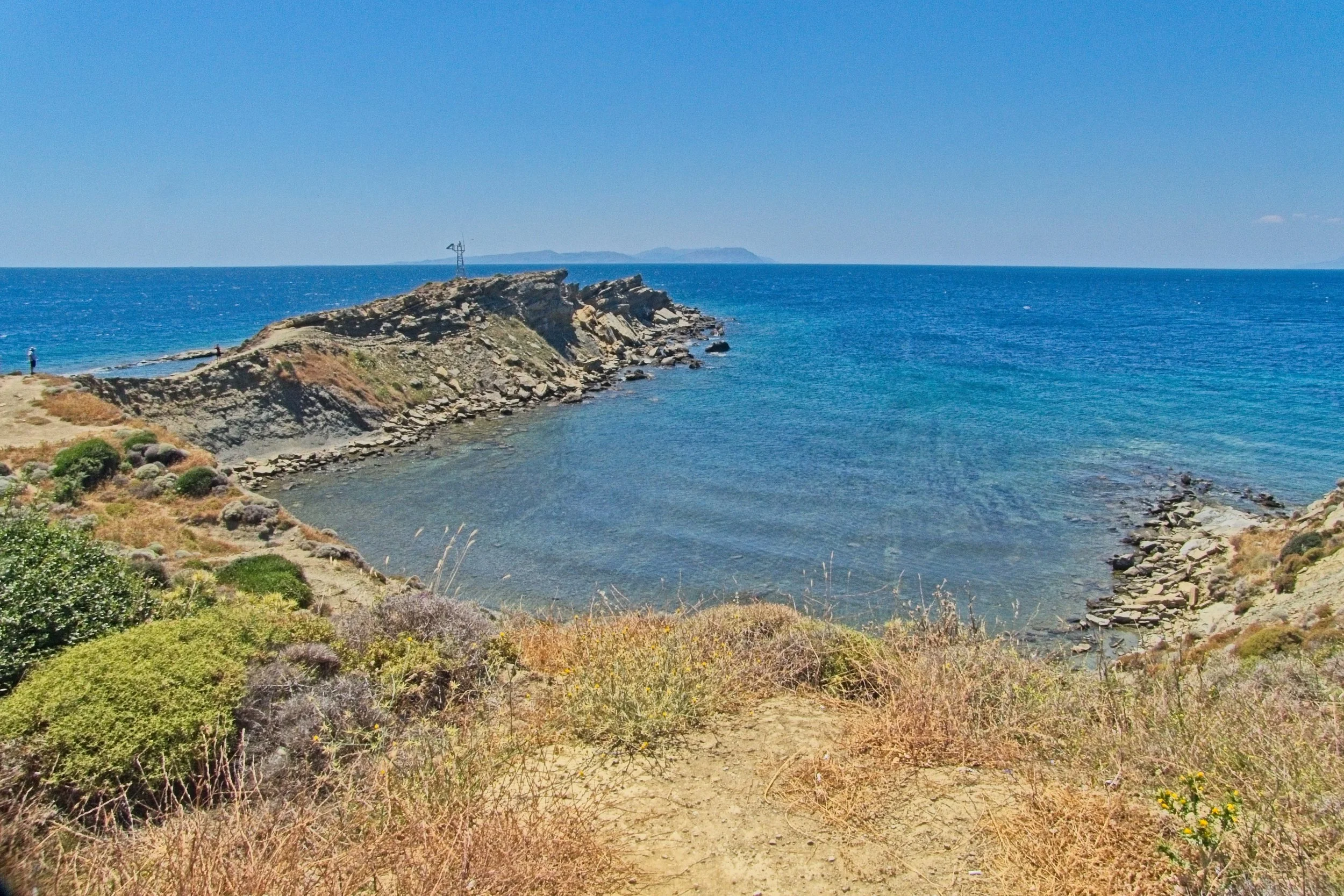 P1100784.jpg