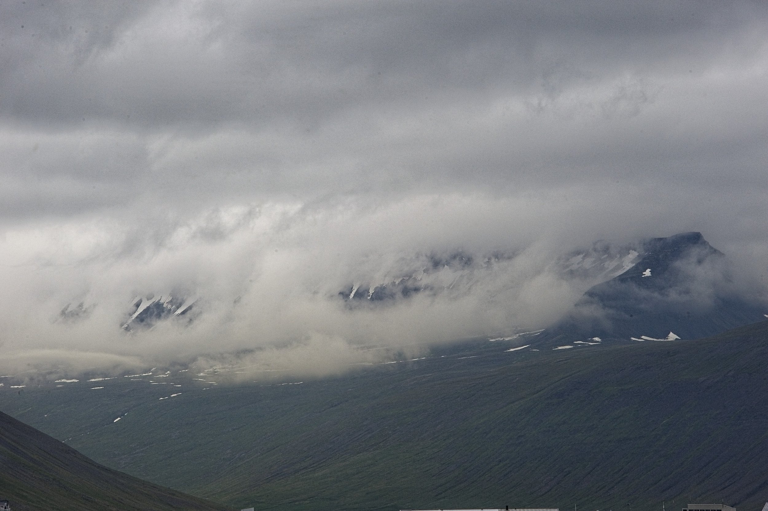 DSC_9815.jpg
