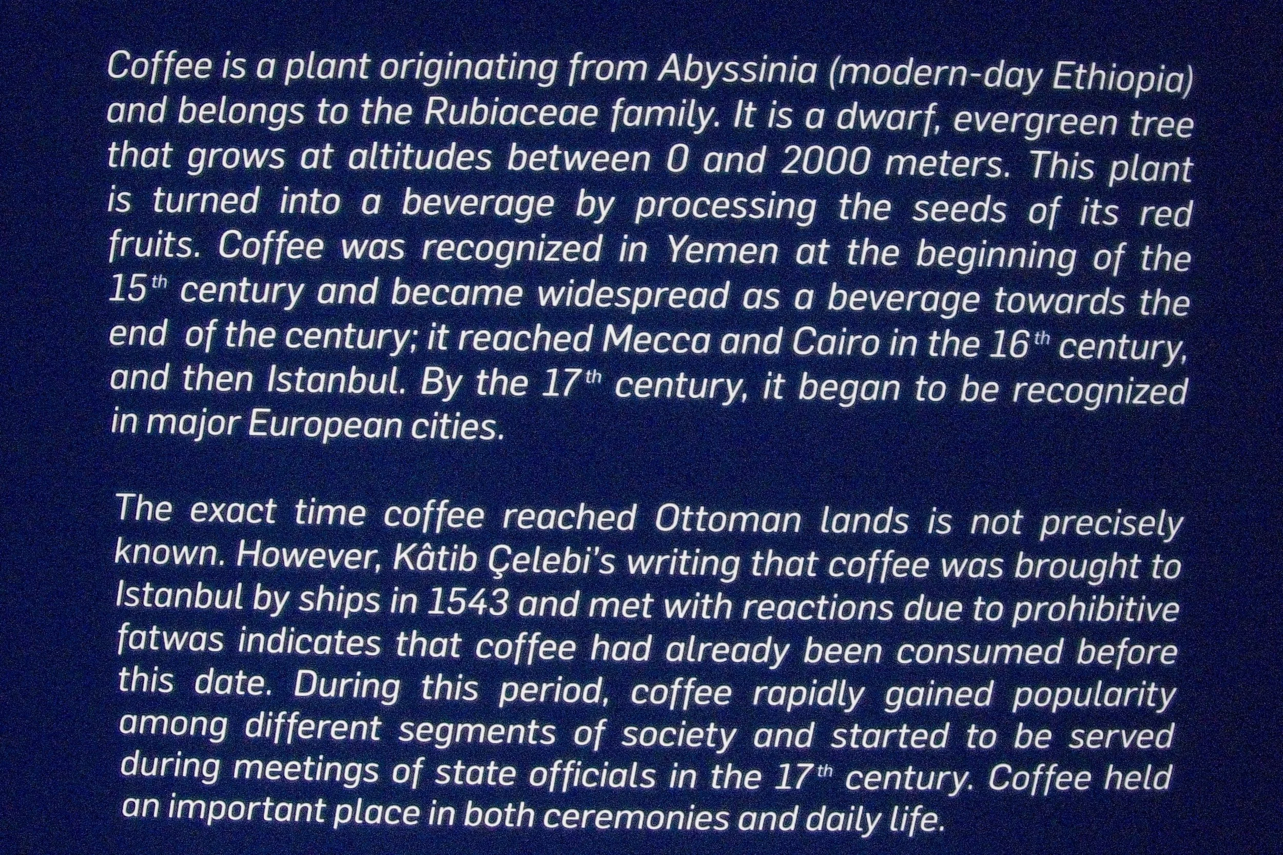 P1100646.jpg