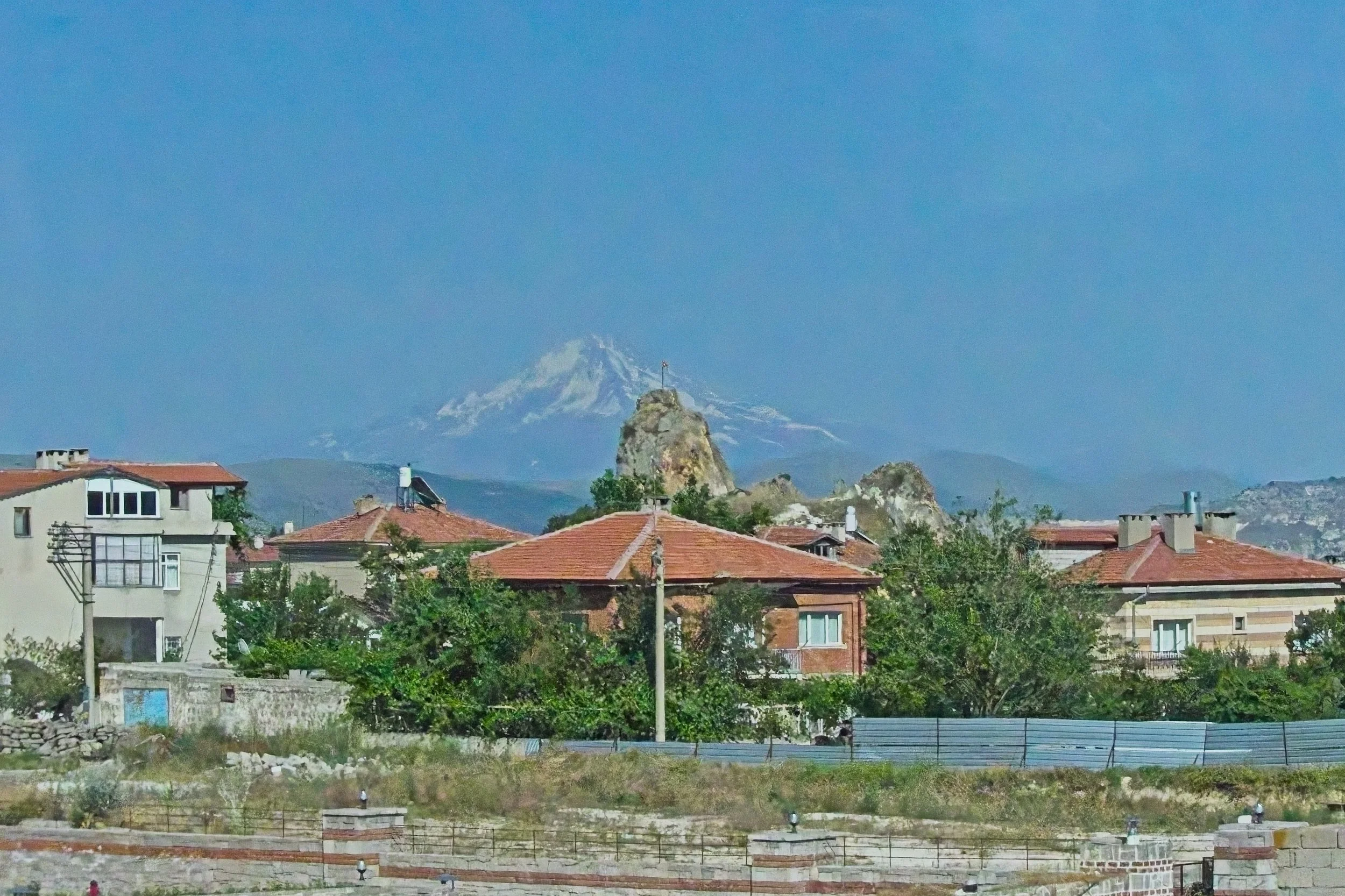 P1110290.jpg
