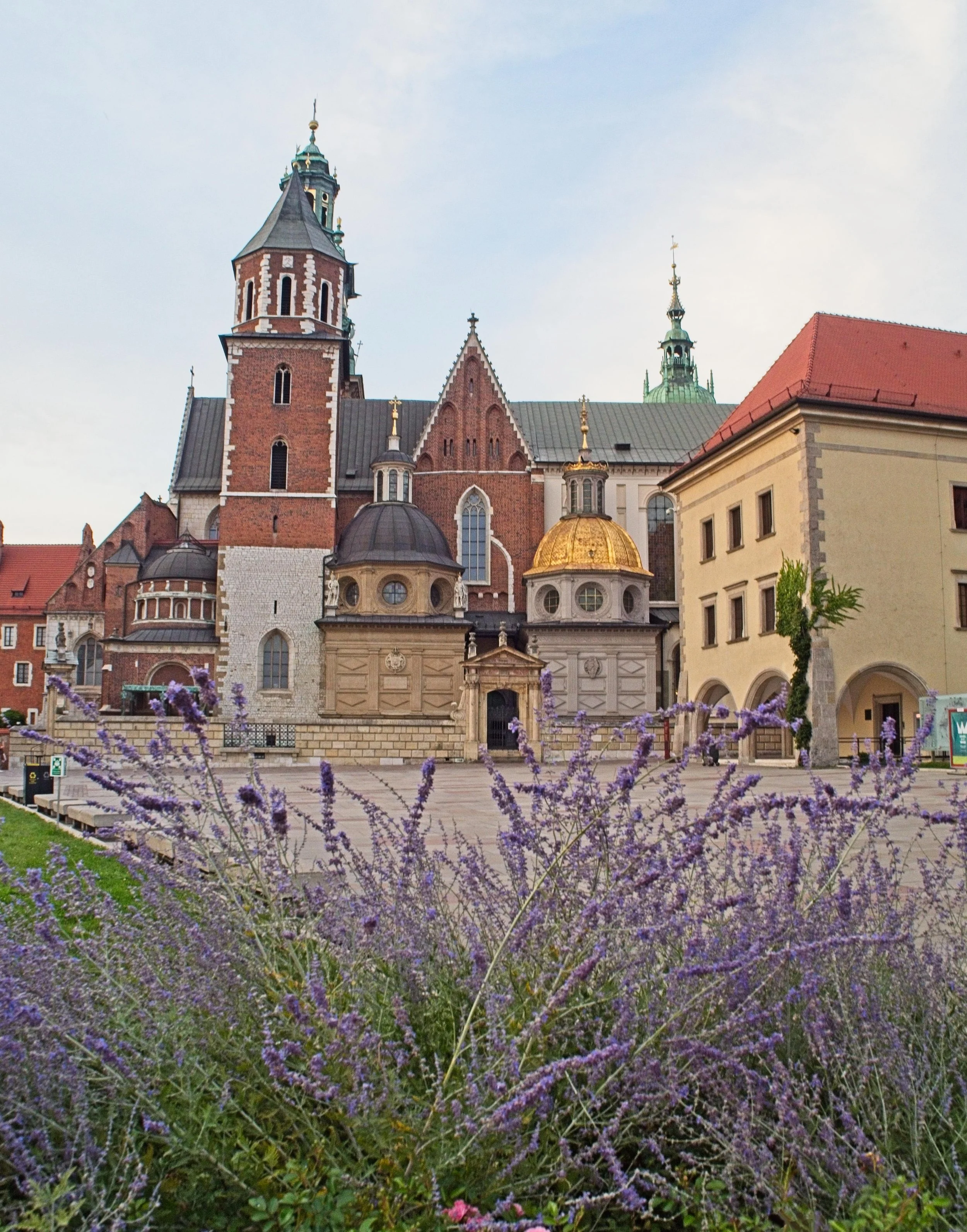 P9020210.jpg
