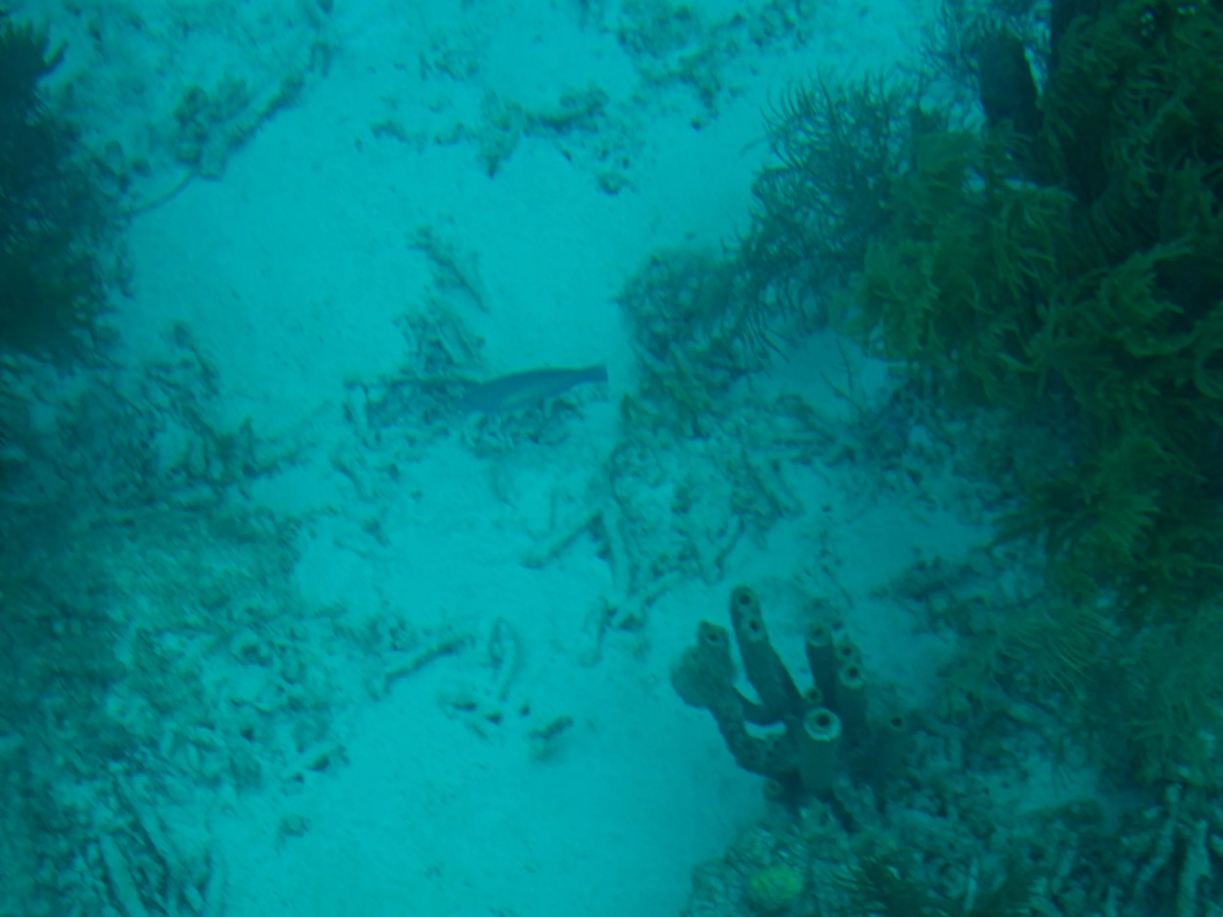 PC150065.jpg