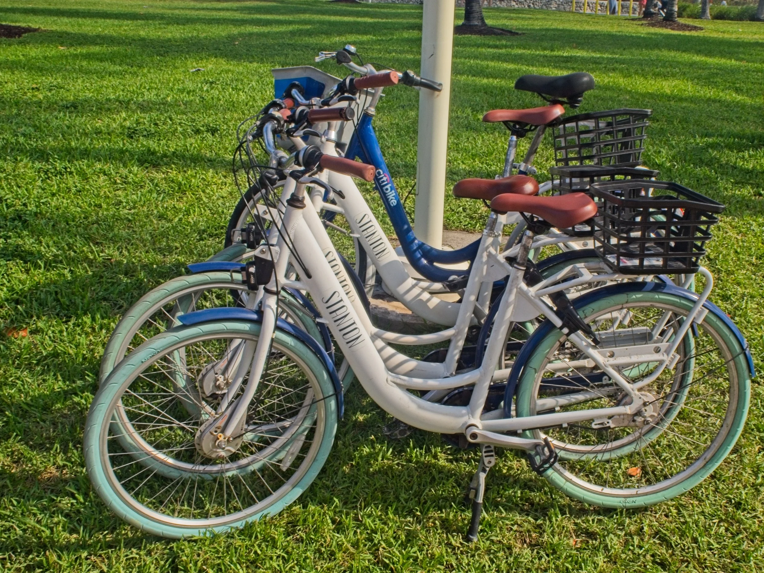 PC250335.jpg