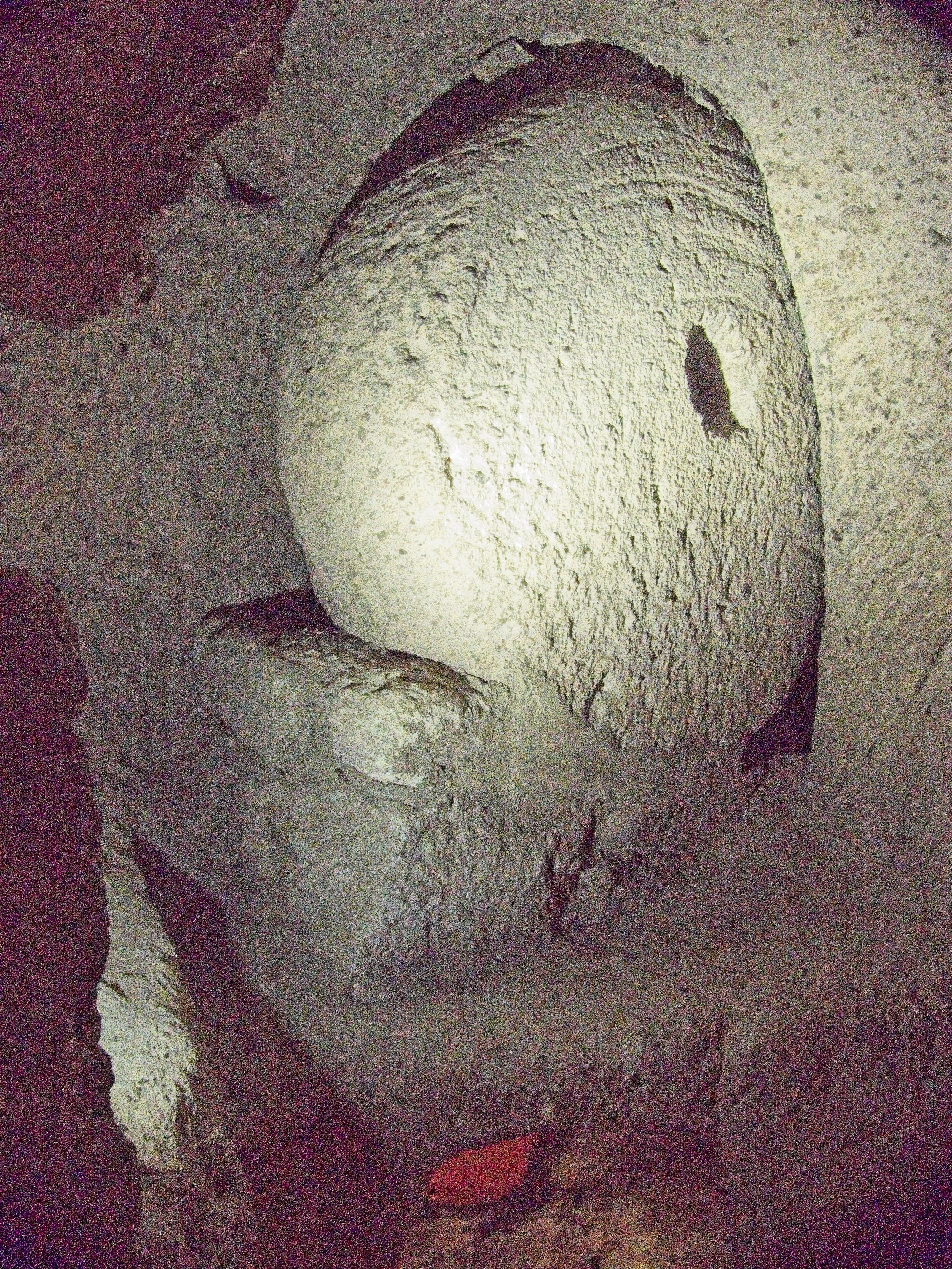 P1110272.jpg