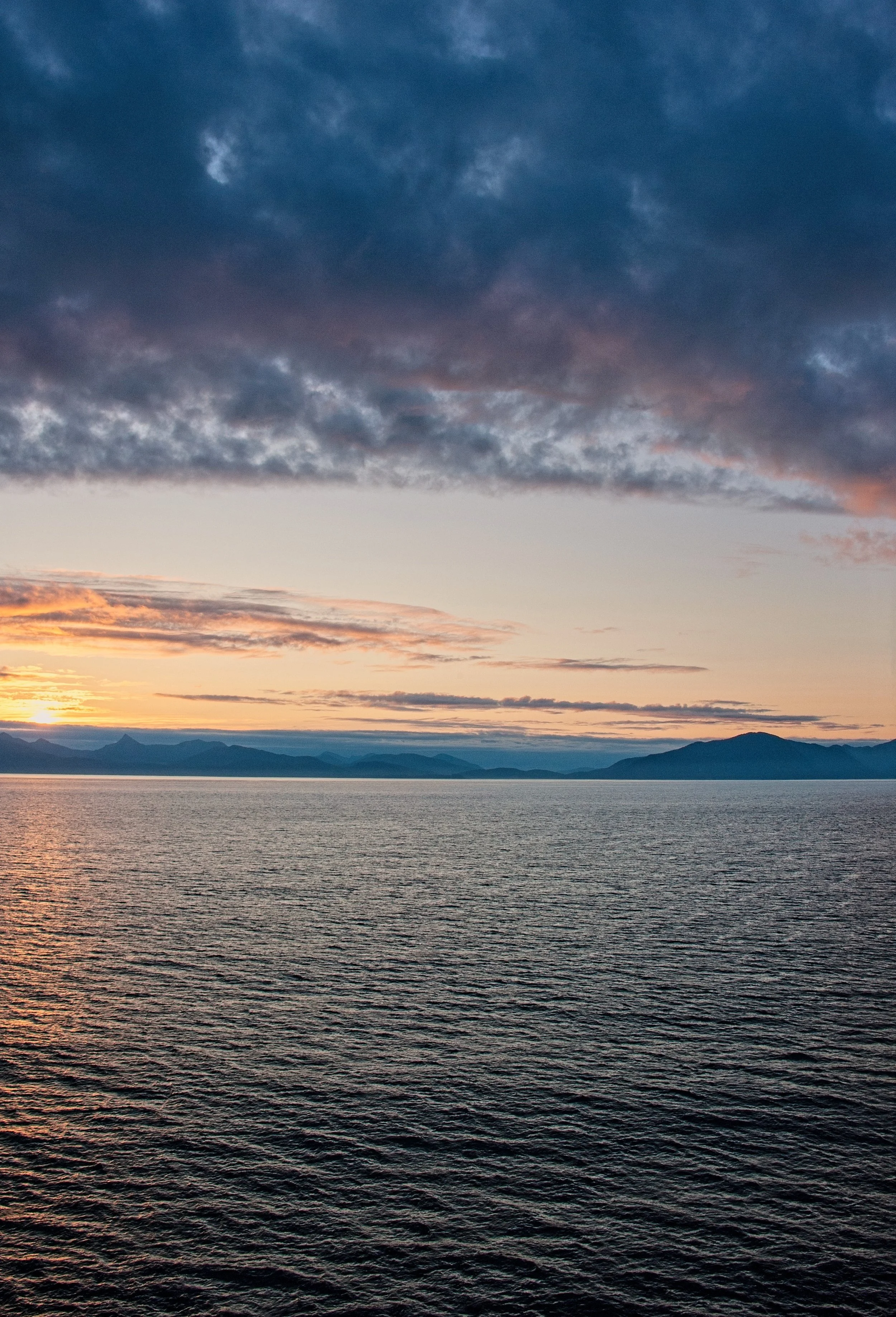 DSC_3842_edited-1.jpg