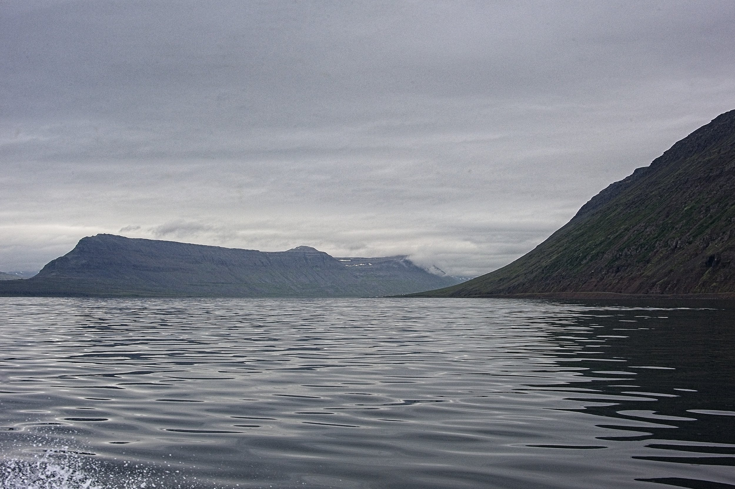 DSC_9830.jpg