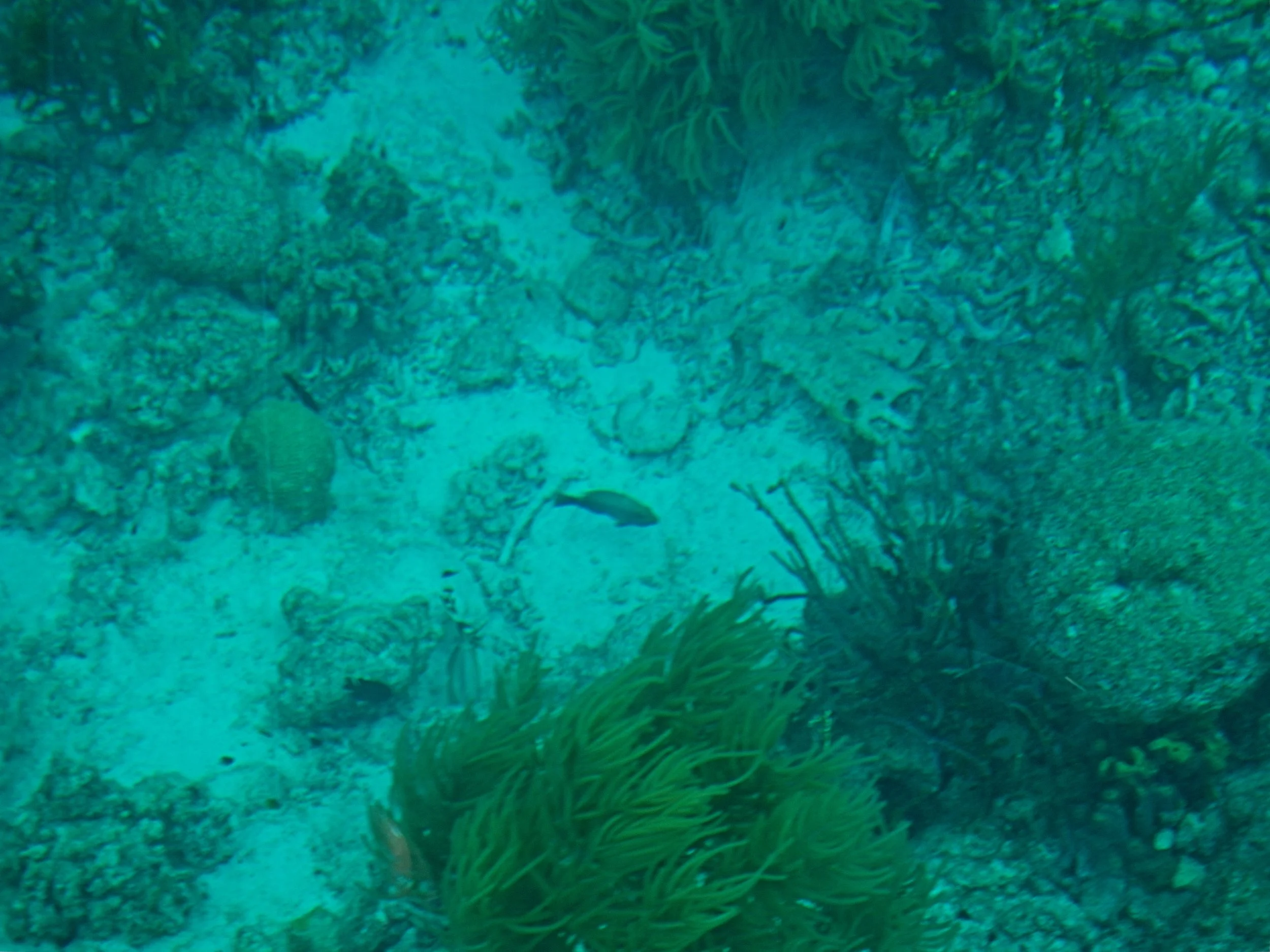 PC150066.jpg
