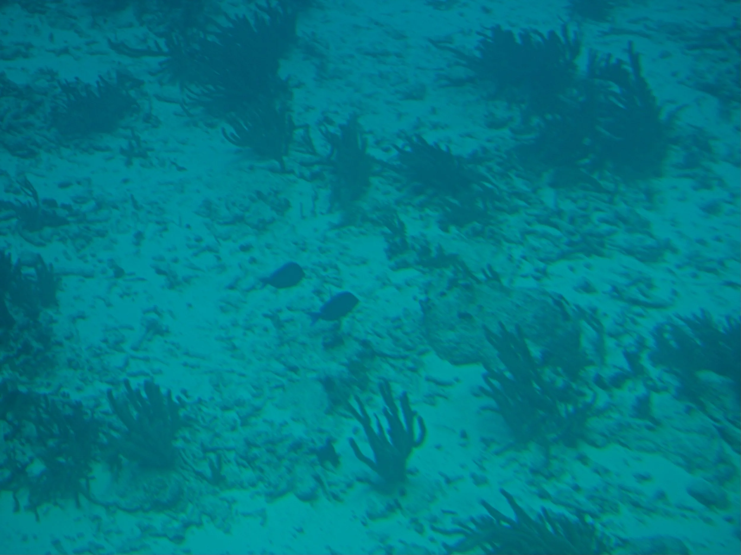 PC140024.jpg