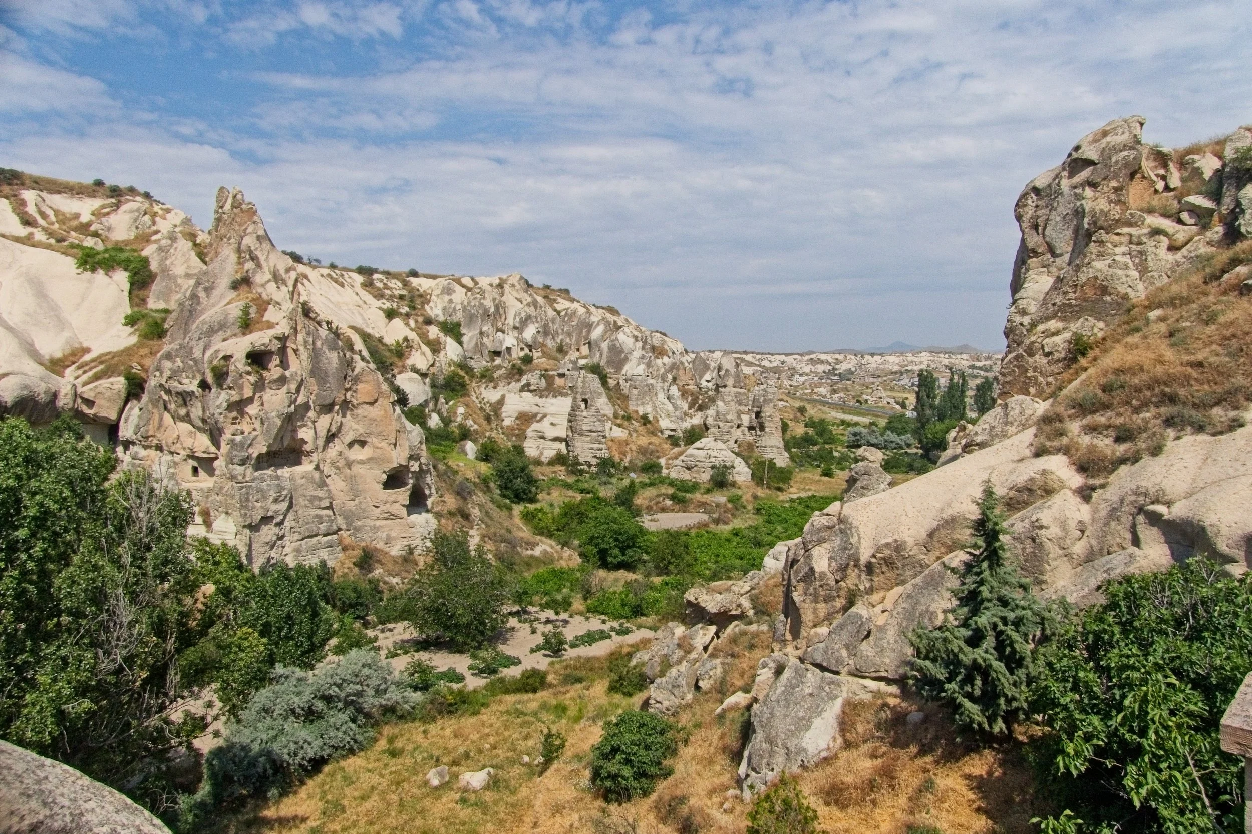 P1110447.jpg