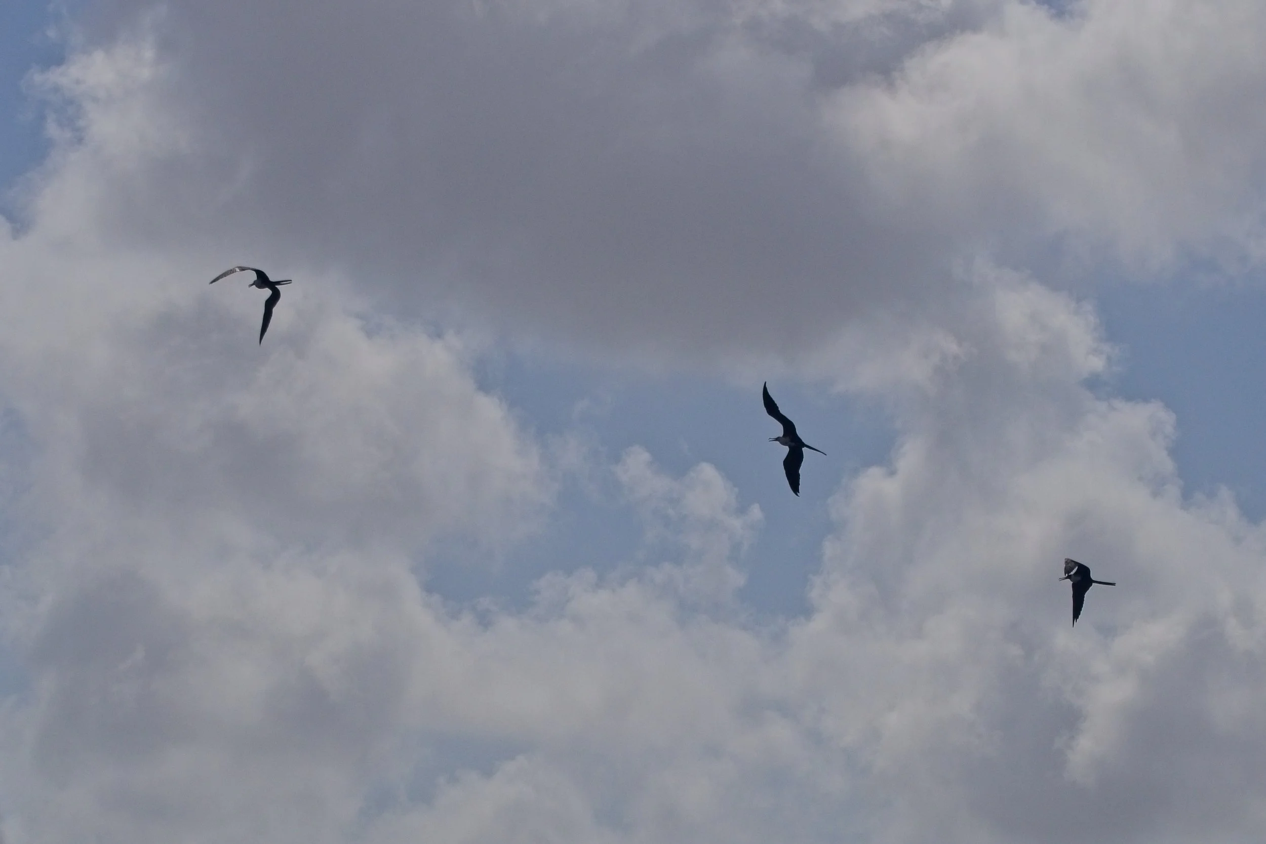 PC150080.jpg