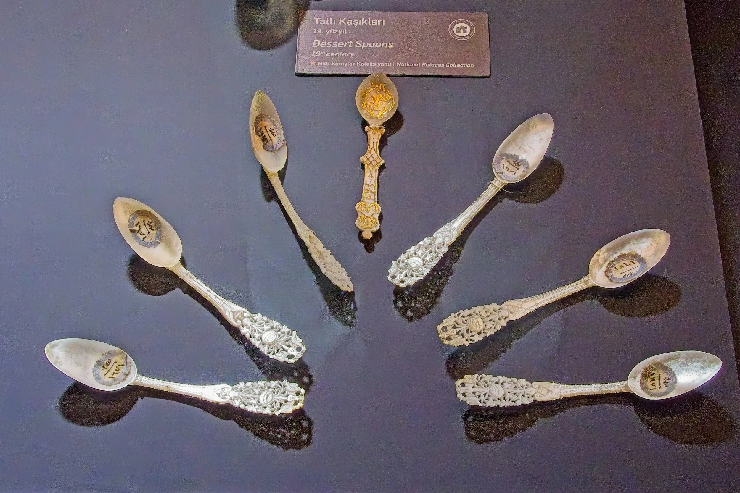 P1100637.jpg