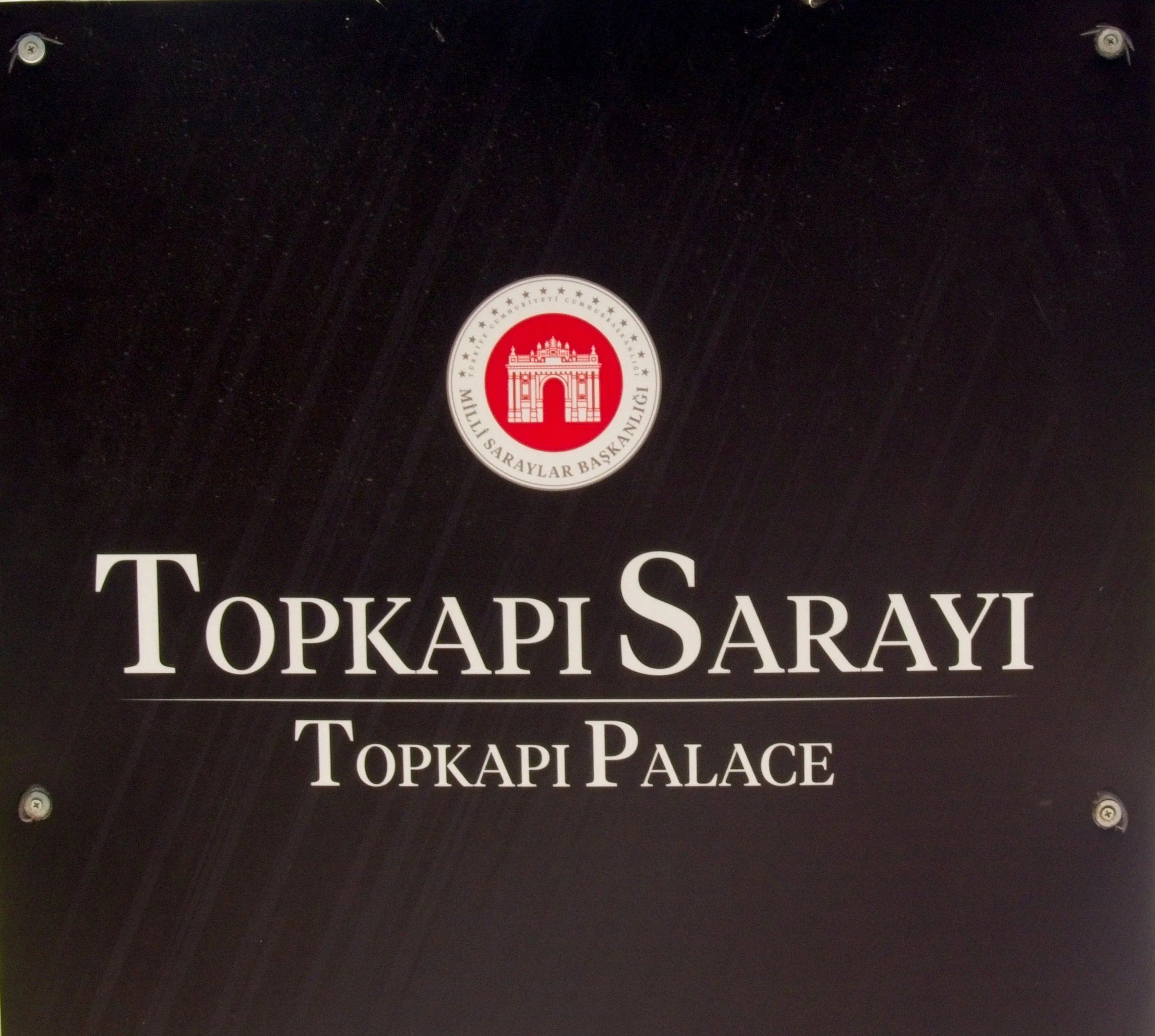 P1100625.jpg
