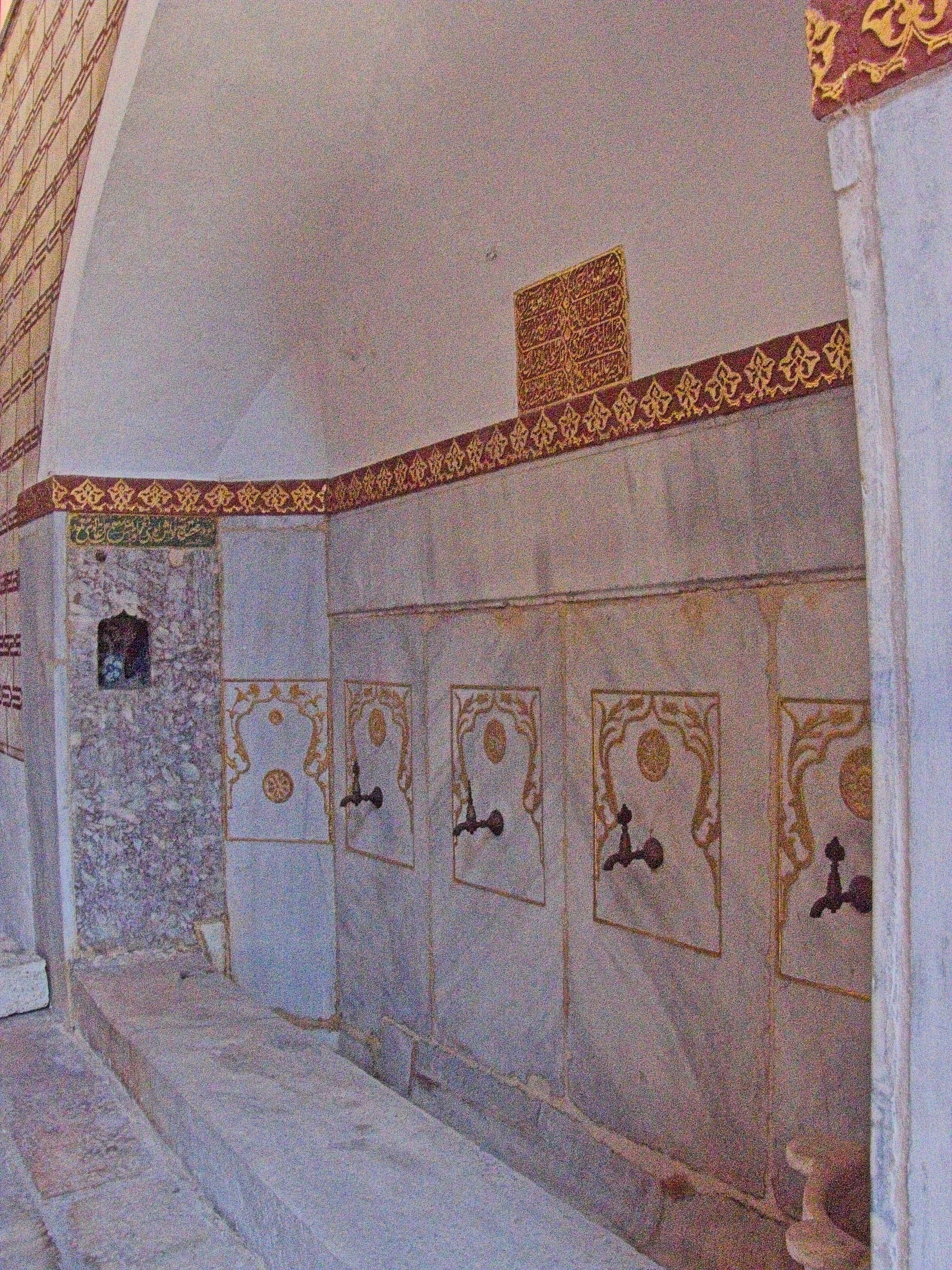 P1100665.jpg