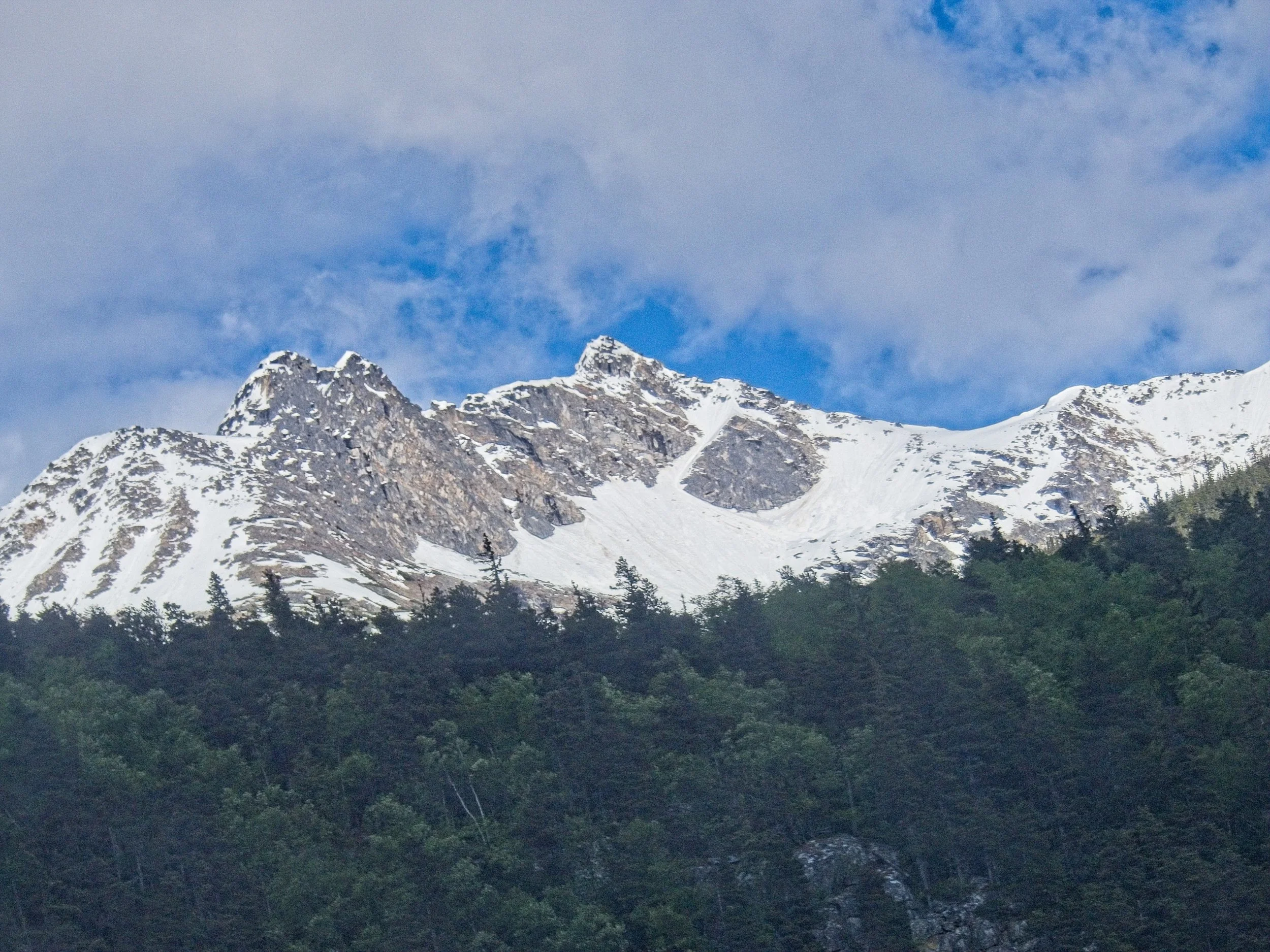 P1090053.jpg