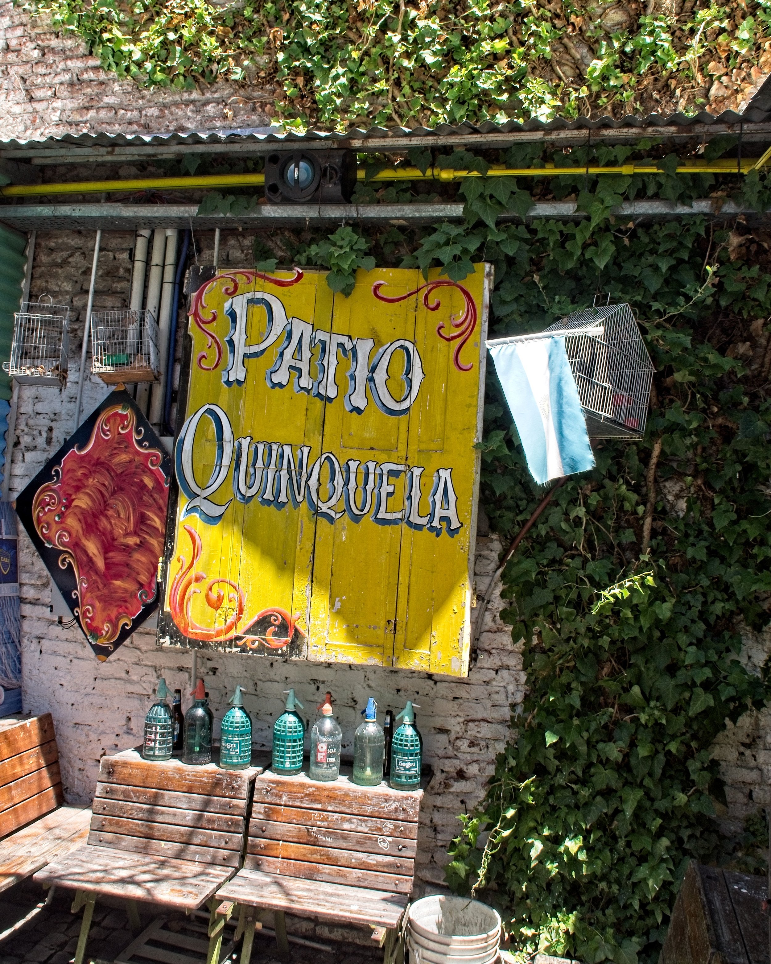 P1103677.jpg