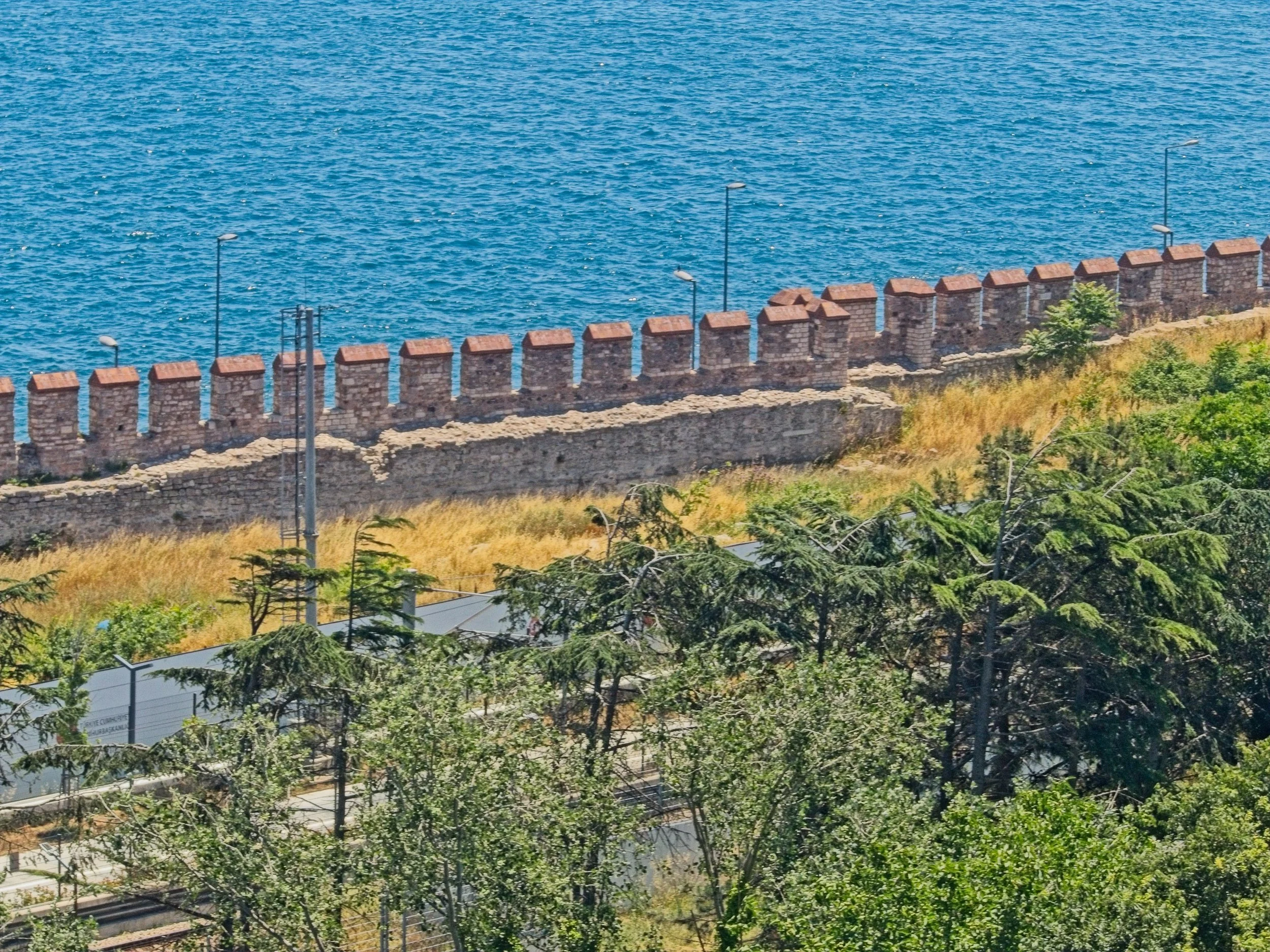 P1100751.jpg