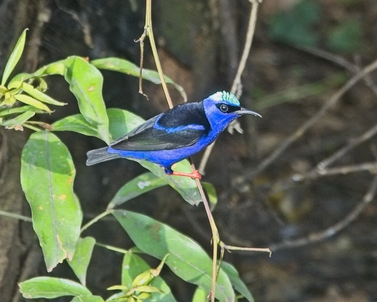 DSC_8994.jpg