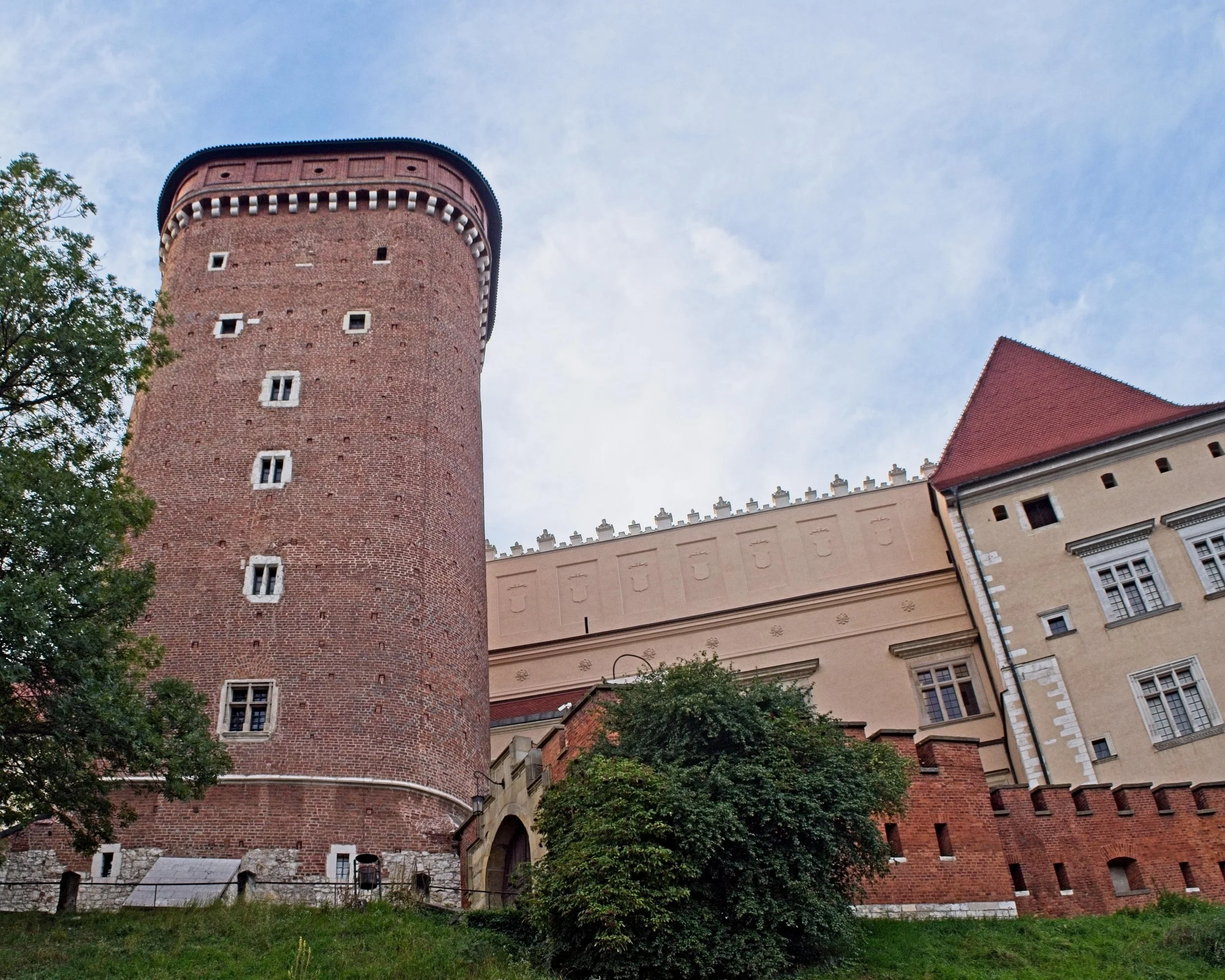 P9020172.jpg