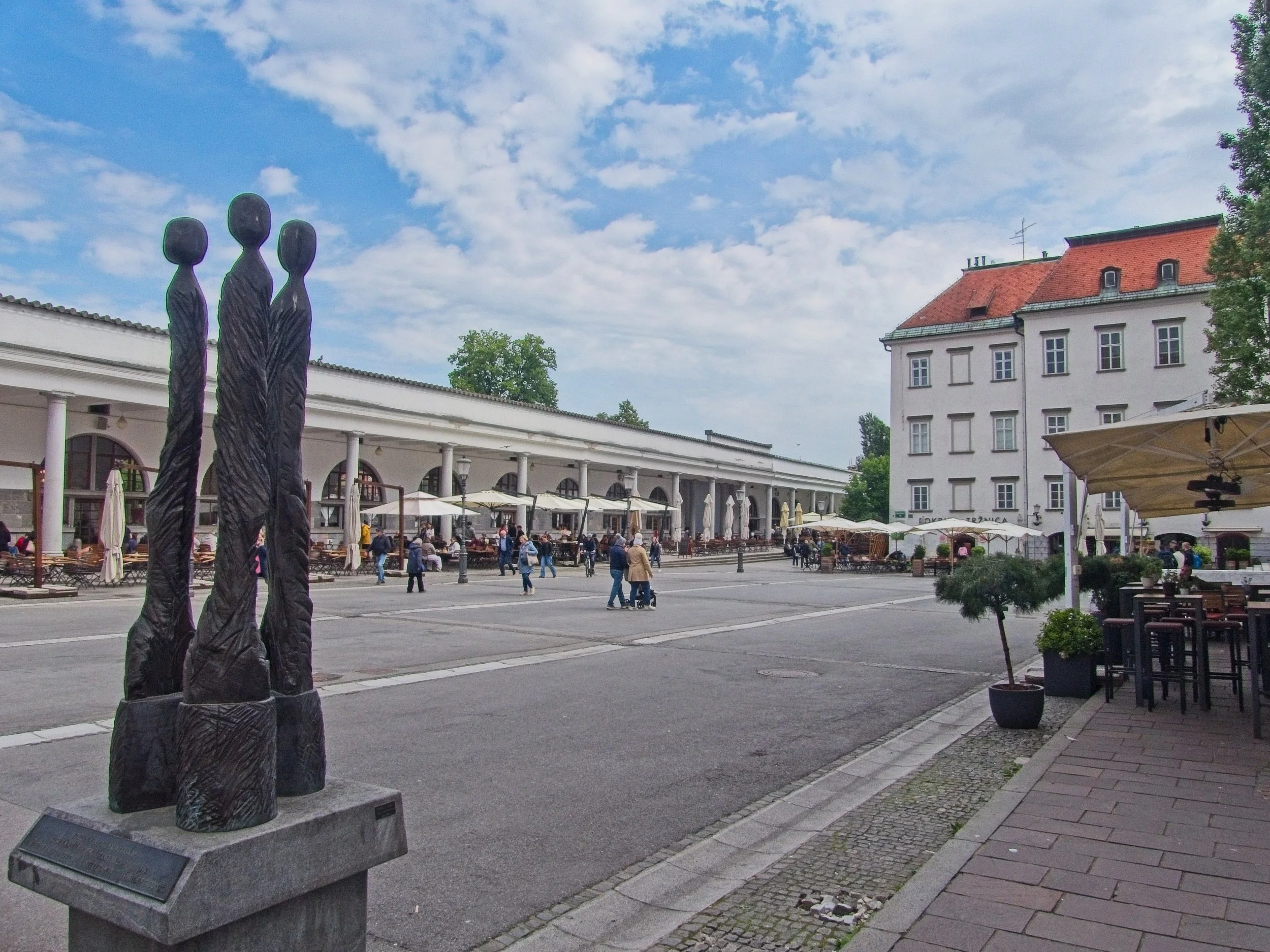 P1090938.jpg