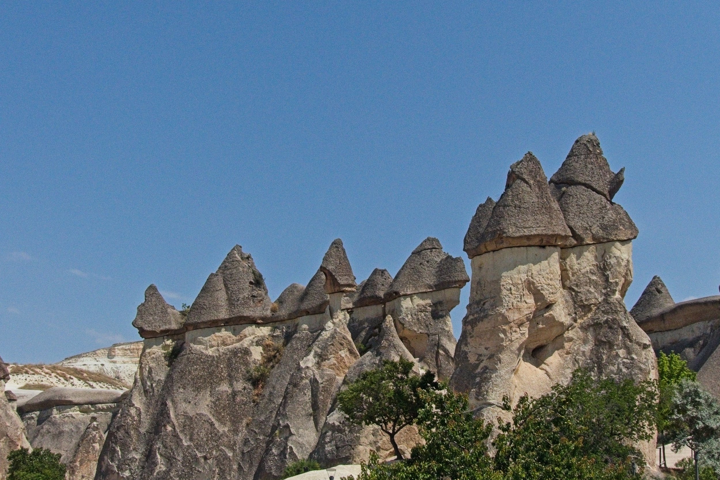 P1110467.jpg