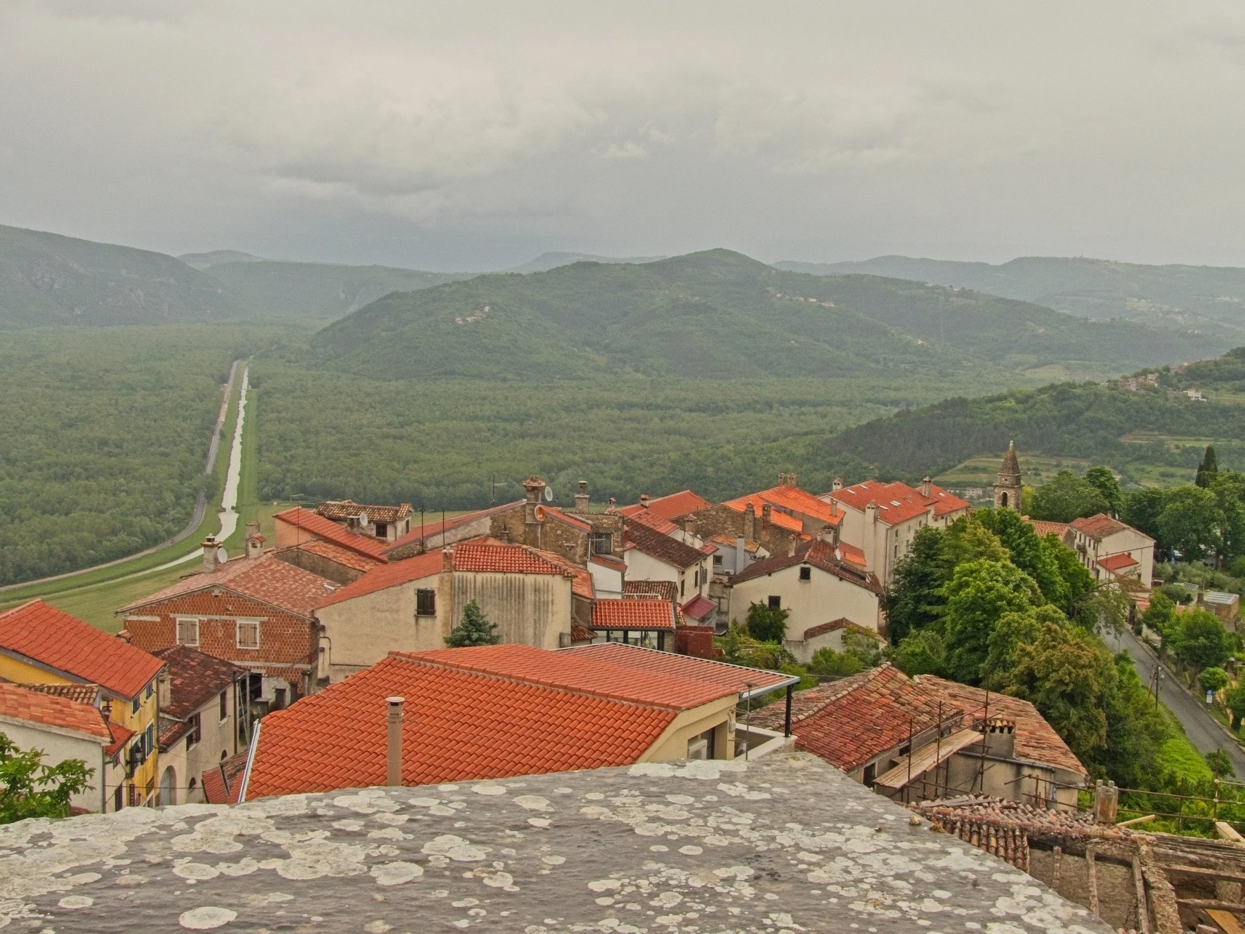 P1100083.jpg