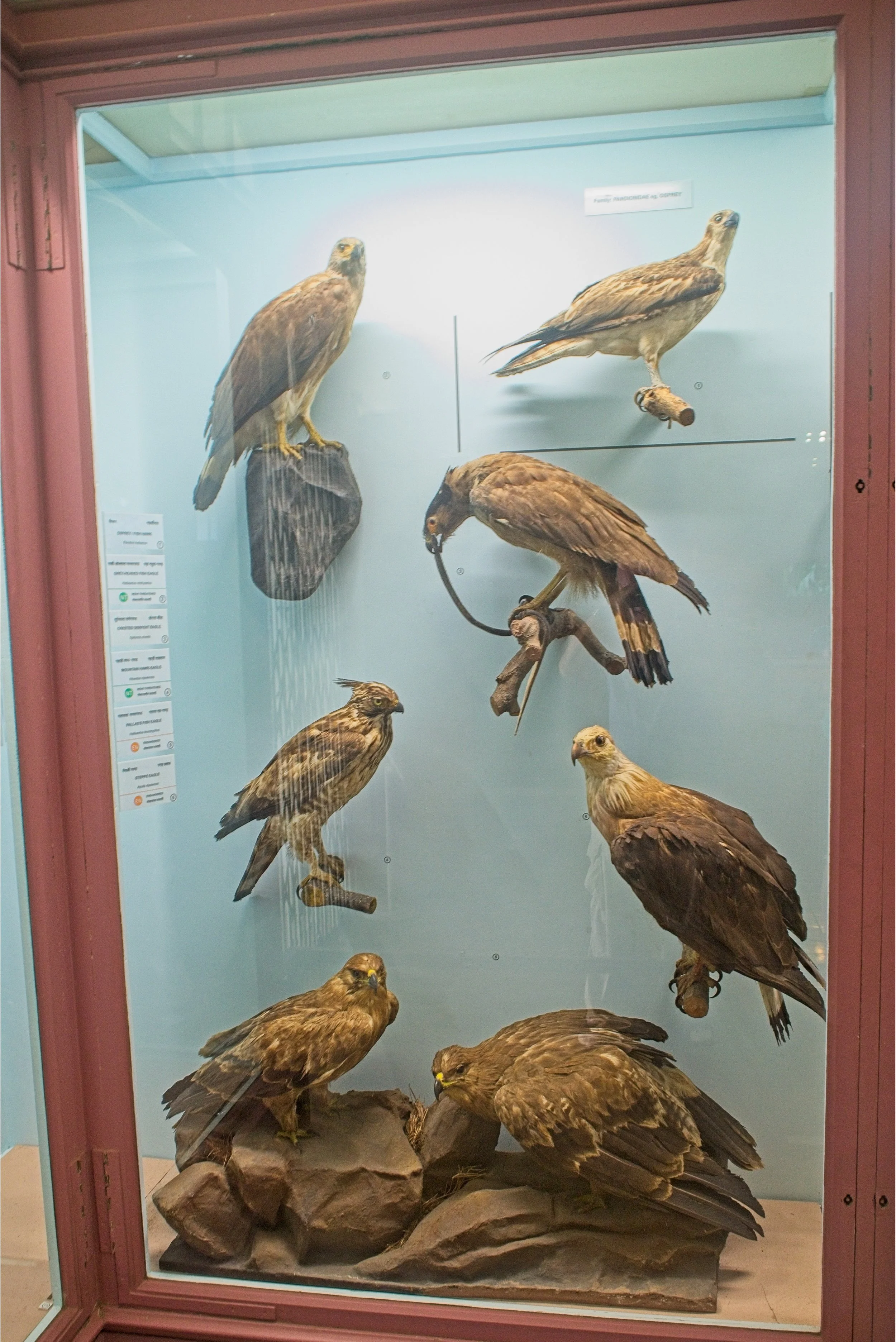 DSC_9706.jpg