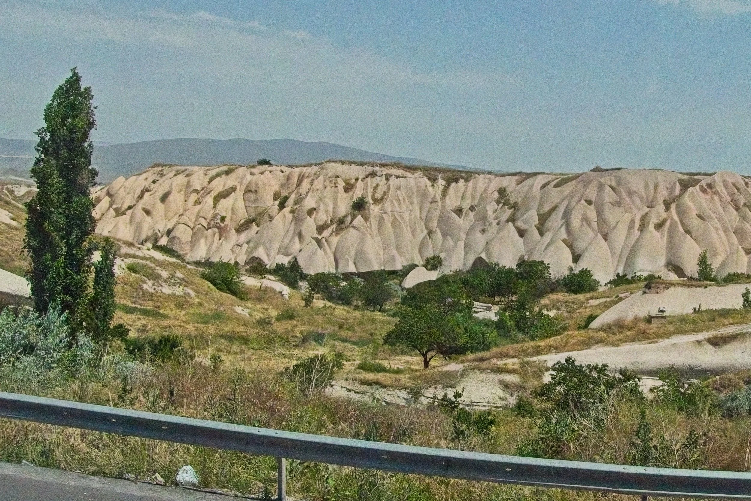 P1110459.jpg