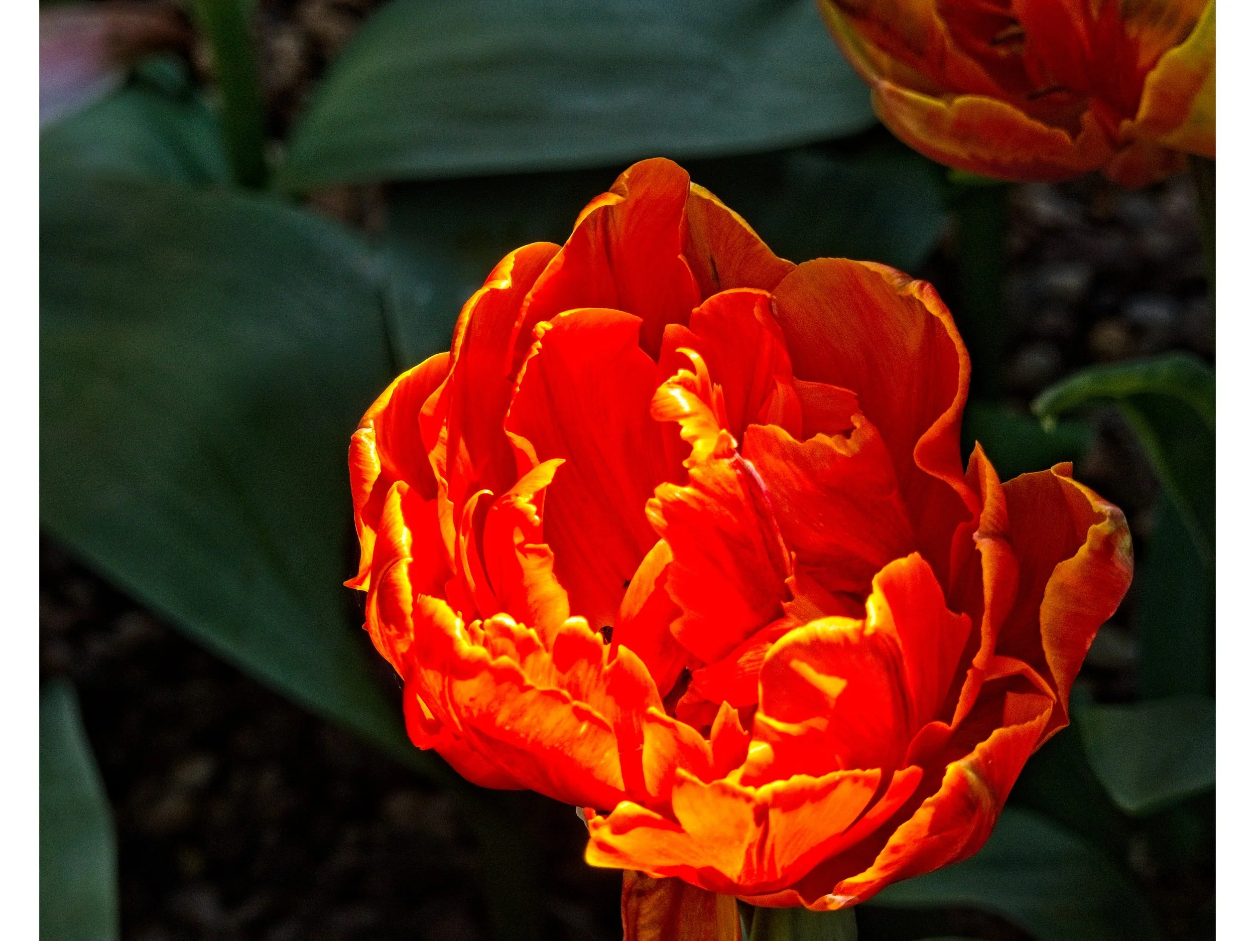 P1080049.jpg
